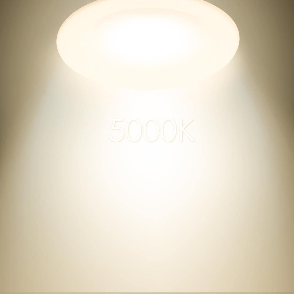 LEDPAX Technology CE1005491 Led-Retrofit-Downlight - View #5