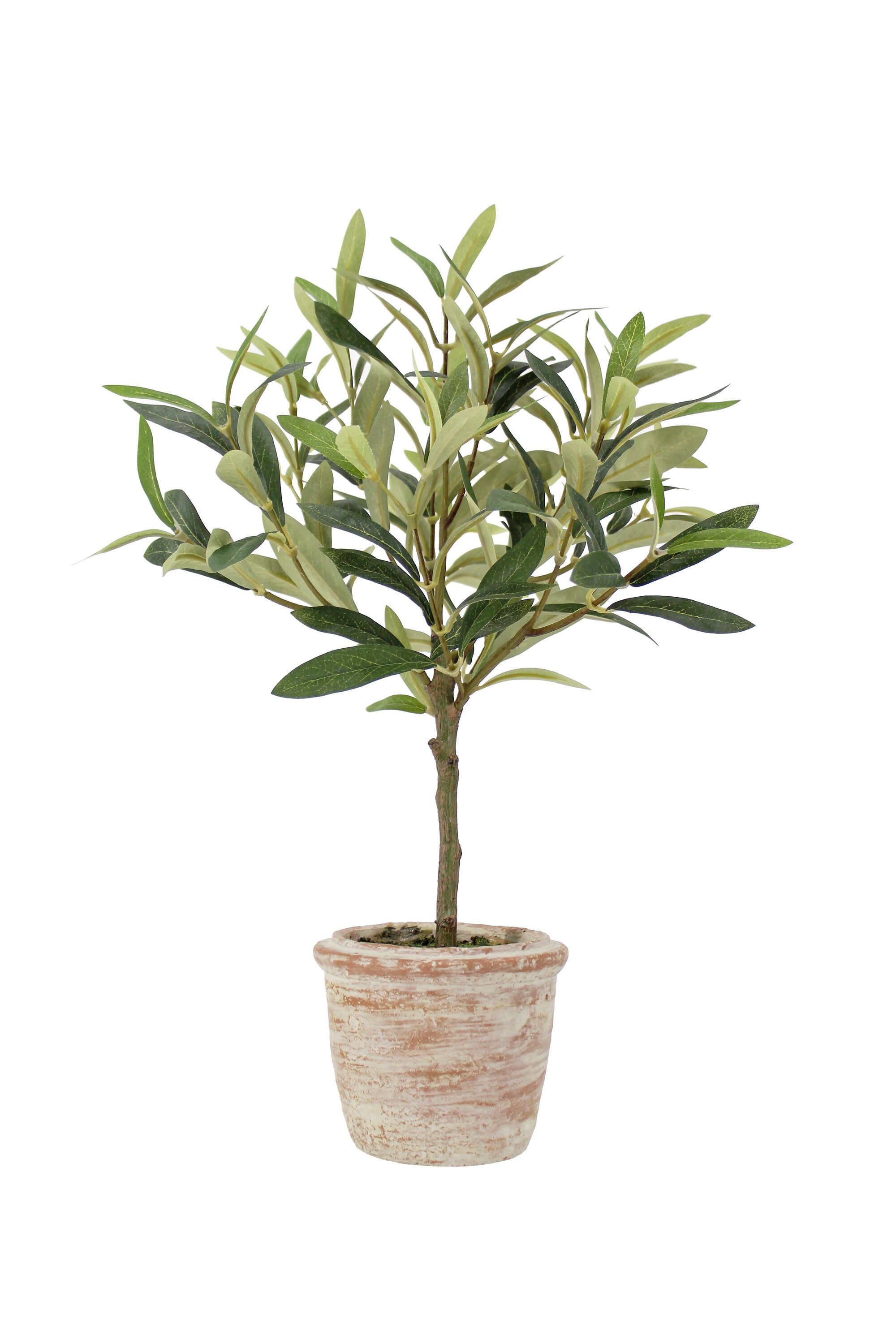 CG Hunter 2PK-24007 Artificial-Plants-Trees - View #6