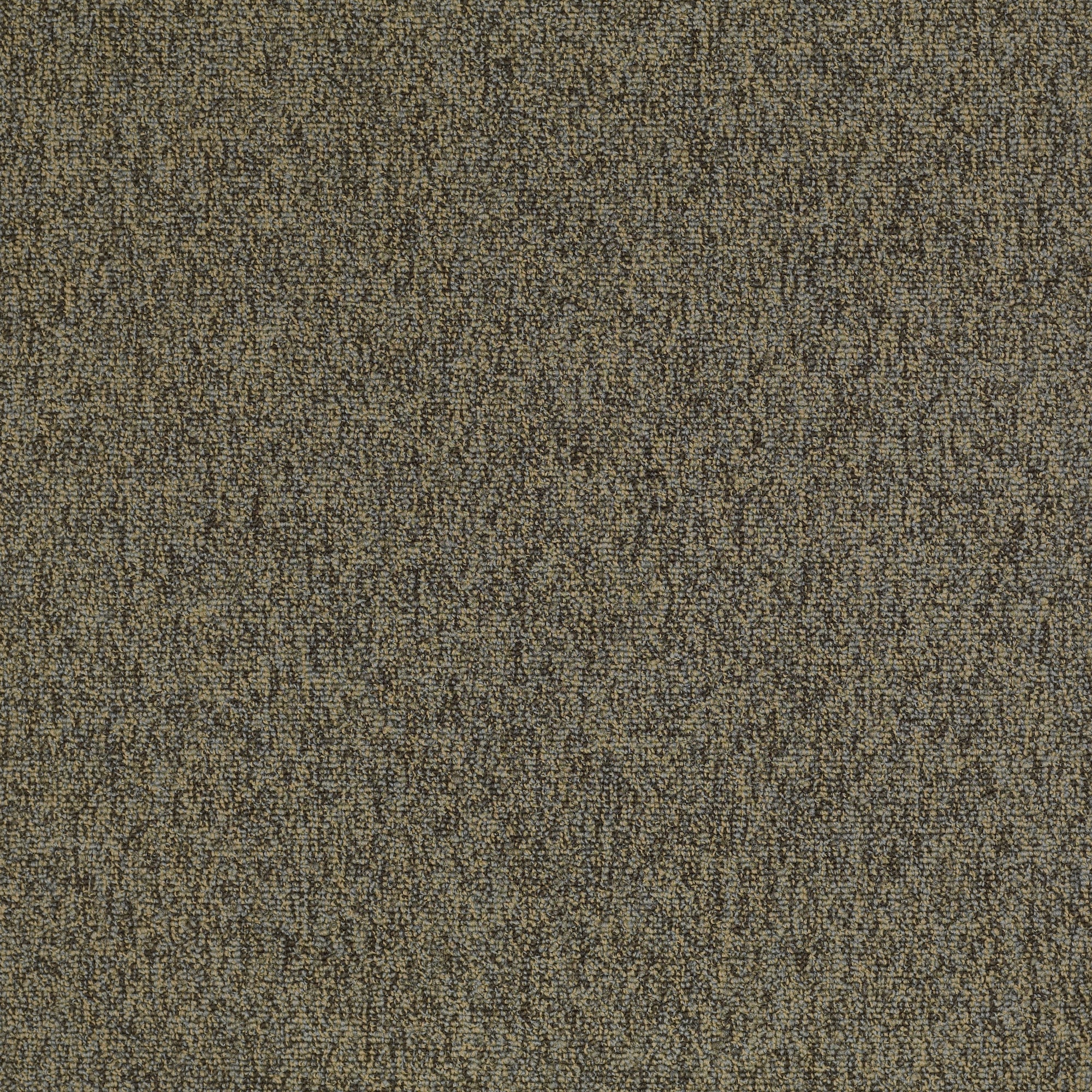 Shaw 7P0UZ00700 Silent 24-in x 24-in Sol Brown Commercial Adhesive Indoor Carpet Tile ( 48-Sq. Feet )