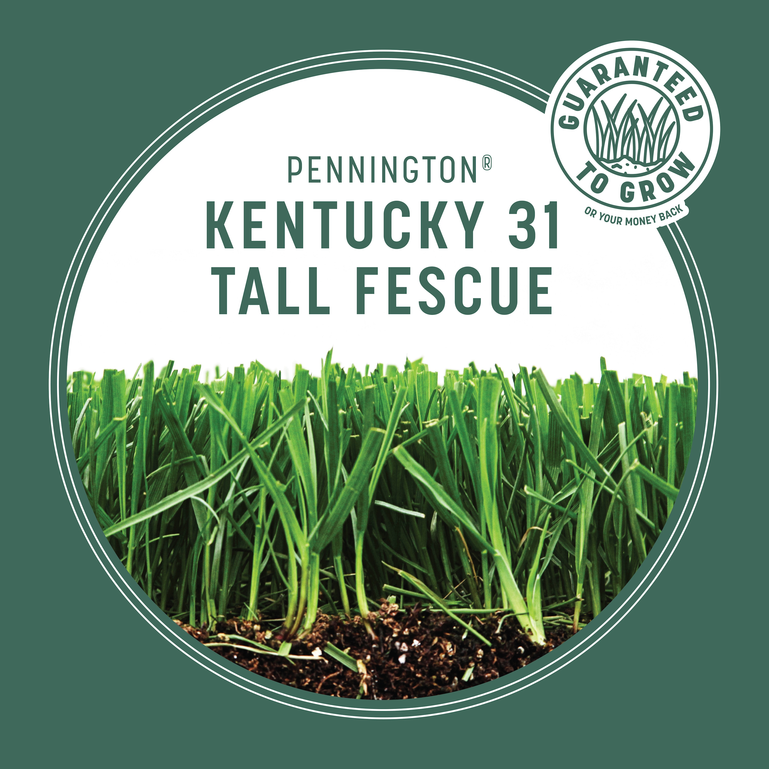 Pennington 100551773 Grass-Seed - View #6