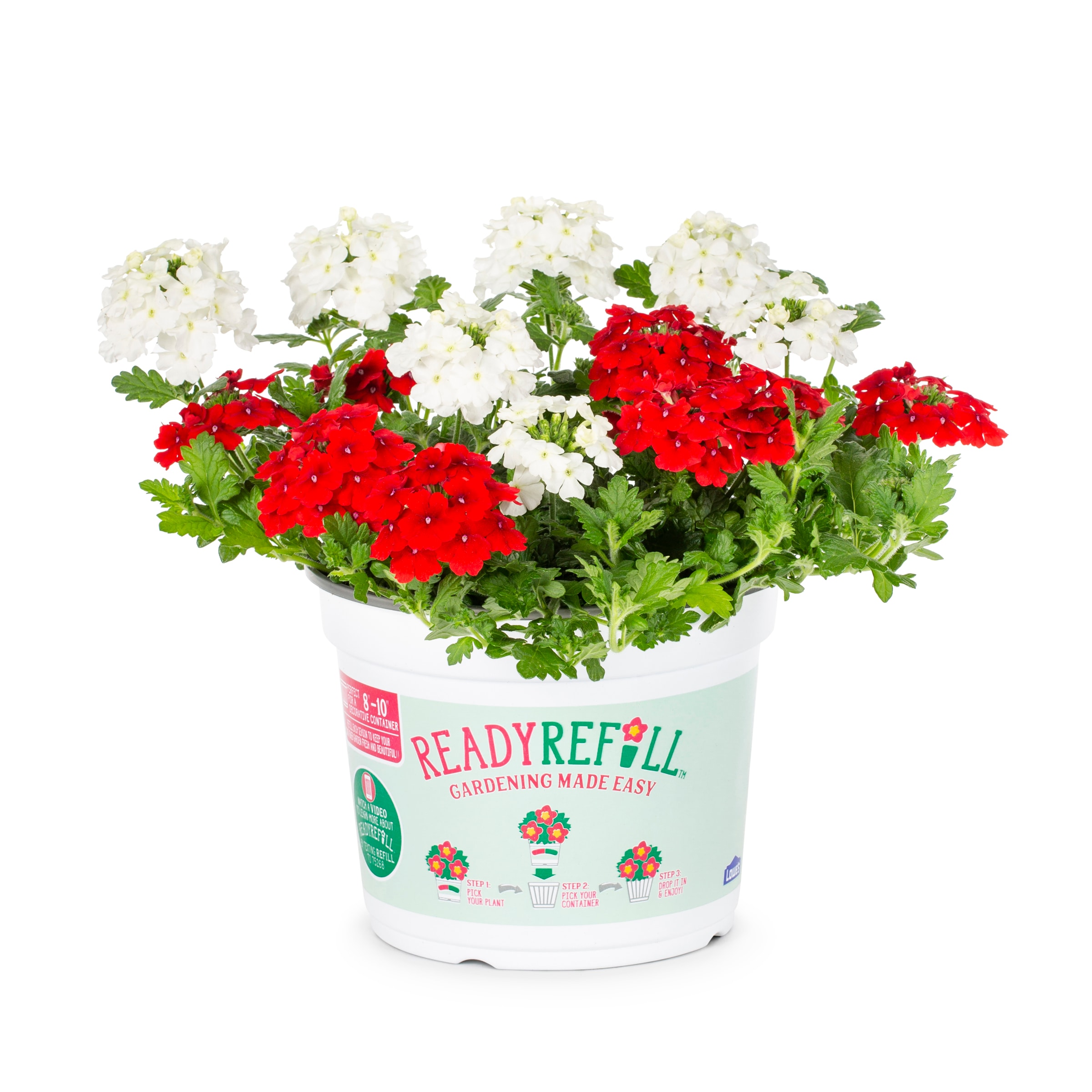 Metrolina Greenhouses 79215 annuals - View #4