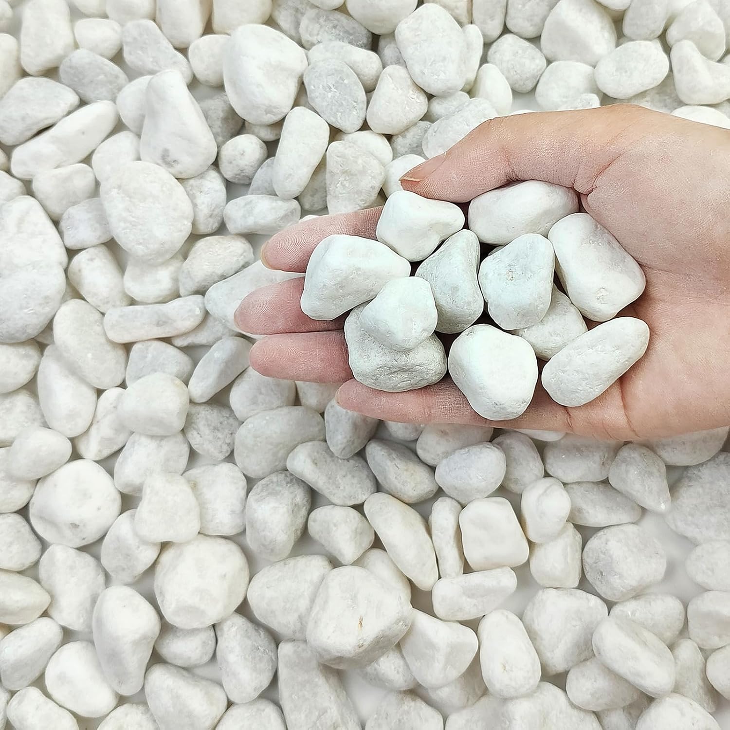 EFCUT 5 lbs White Pebbles for Indoor Plants 0.5-1 Inch Pea Gravel Stones for Planters Decorative River Rocks for Succulent Cactus Vases Aquariums Crafting and Garden Landscaping