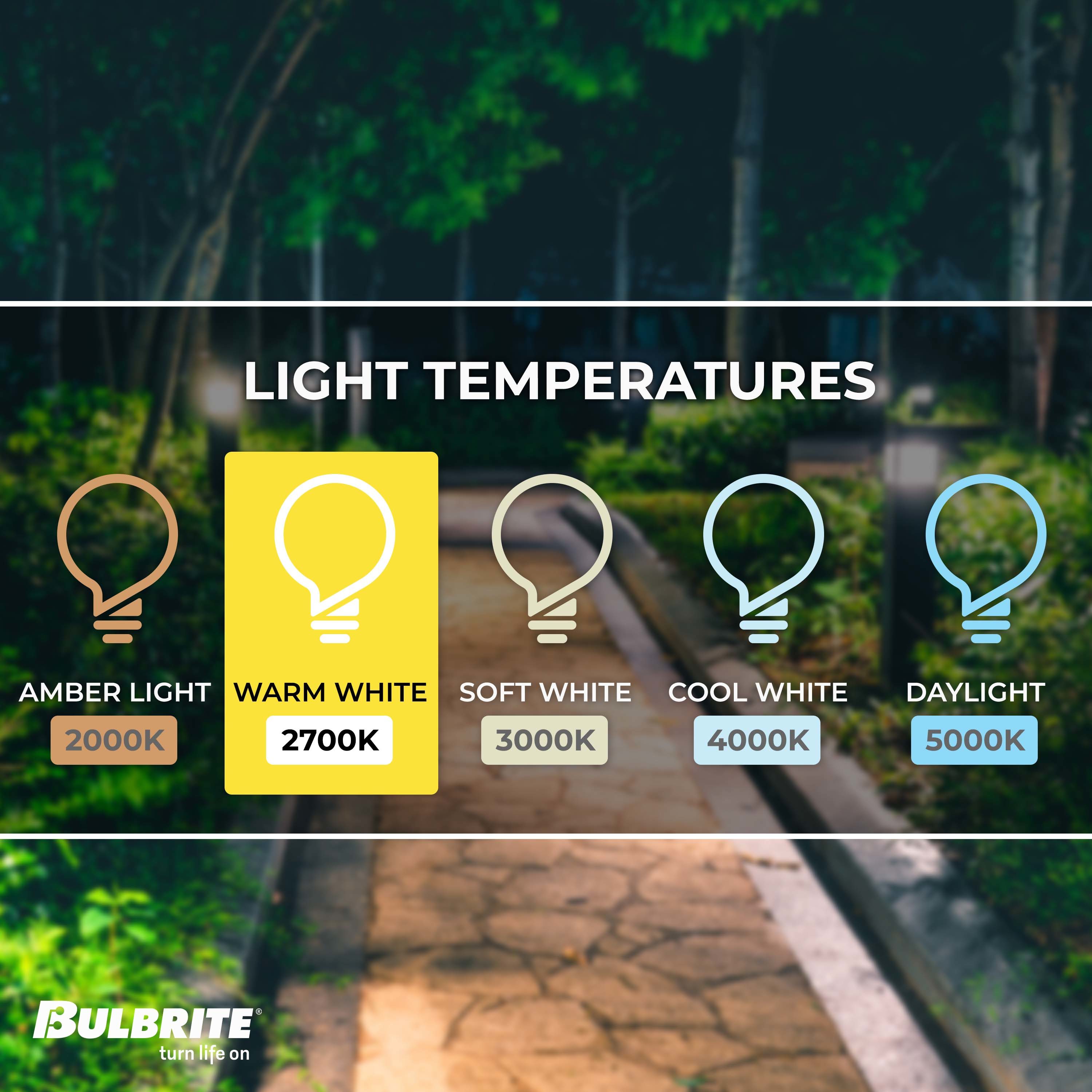 60 Watt Equivalent Clear Dimmable LED Filament Bulb