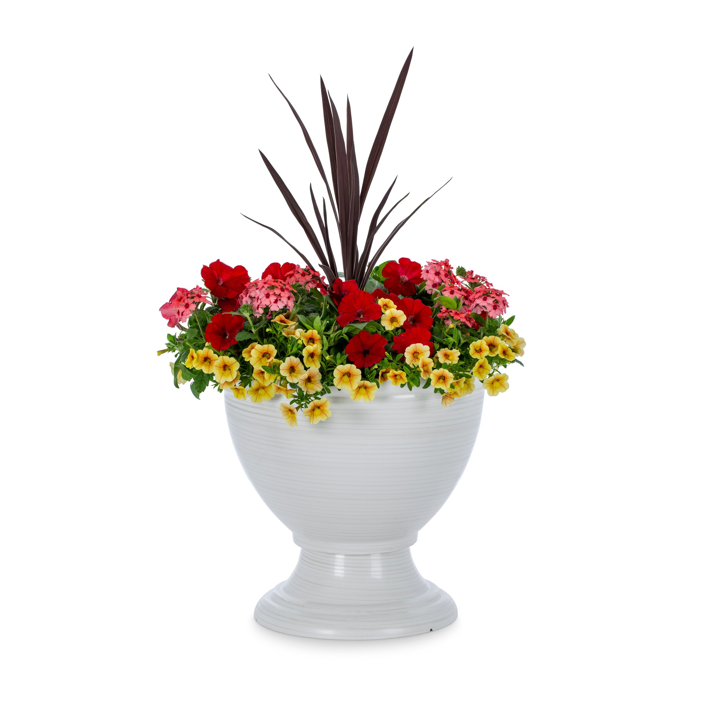 Lowe's NURSERY Multicolor Trixi Who Knew New Orleans in 4.00 Gallon(s) Planter