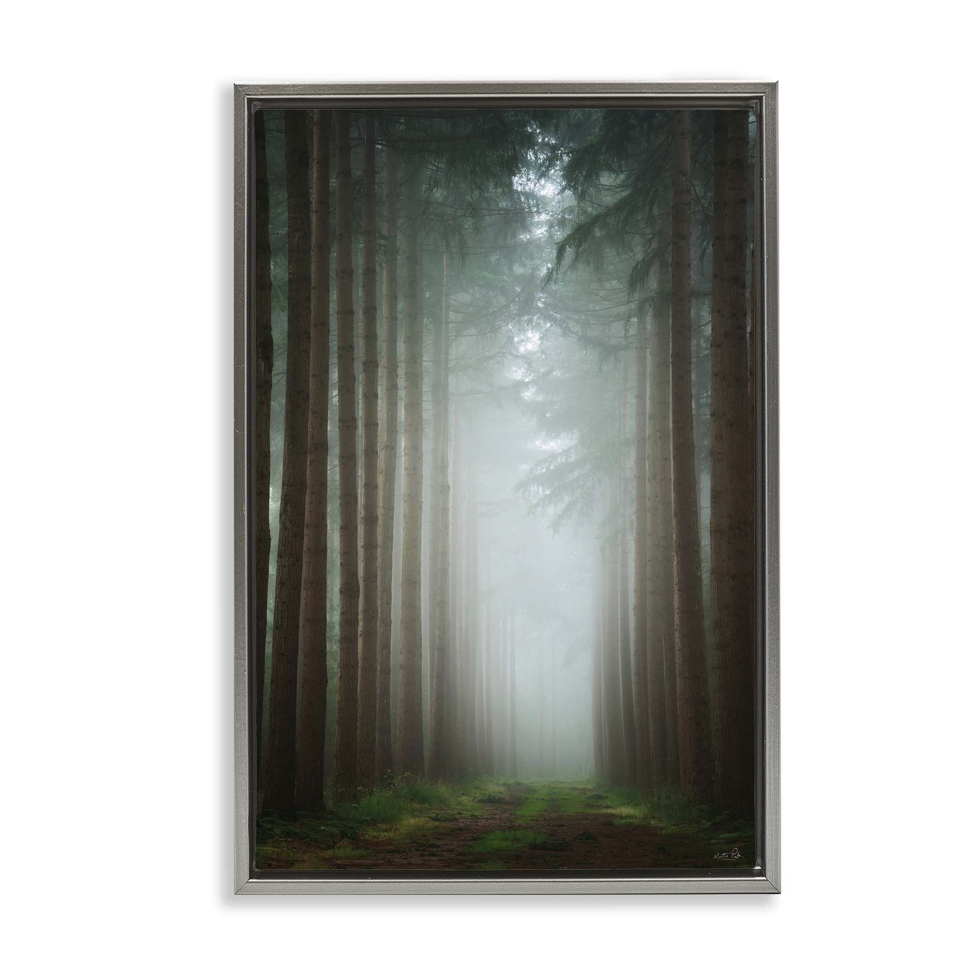 Stupell Industries BT-591-FFL-16X24 Moonlight Through Dark Forest Floating Frame design by Martin Podt
