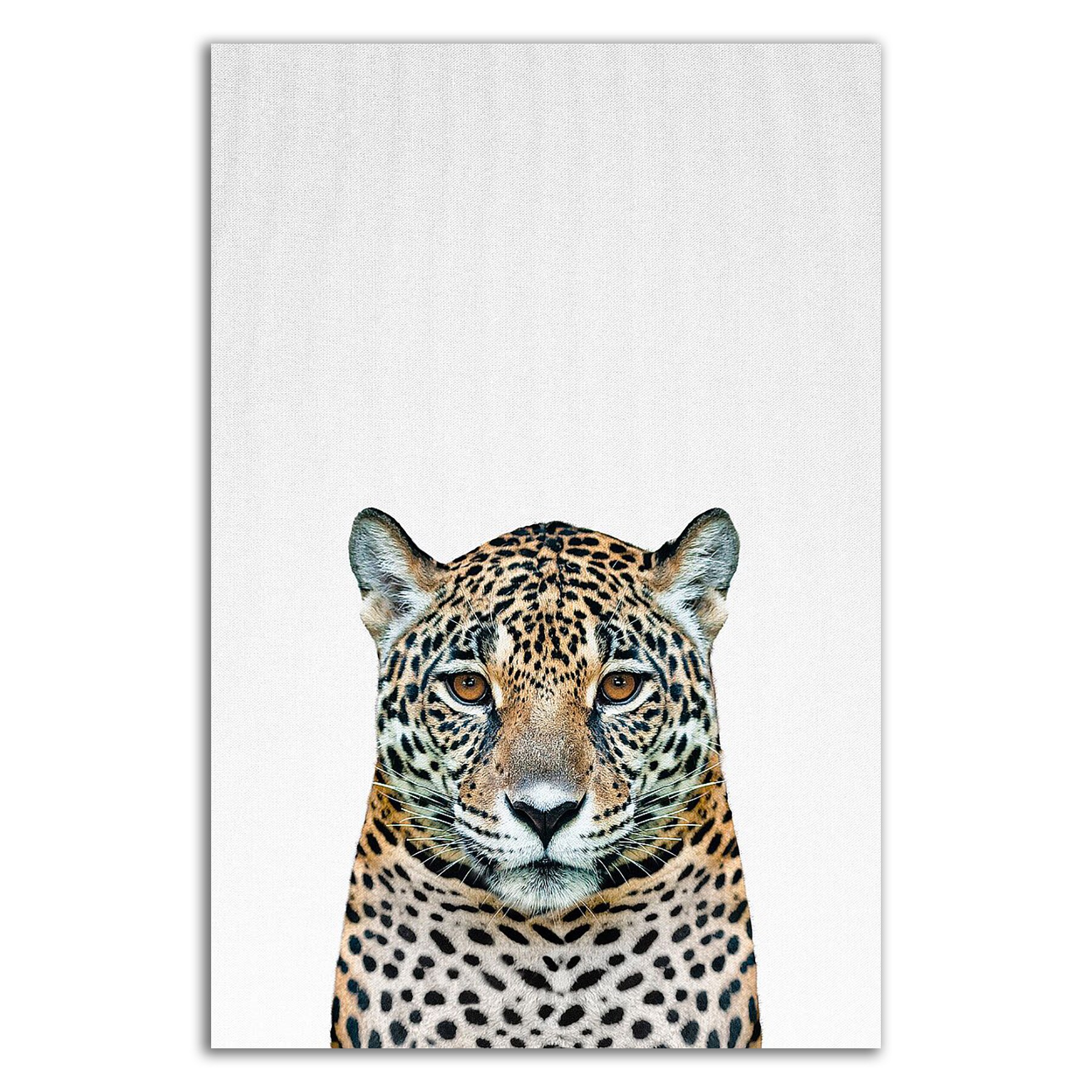 Tangletown Fine Art 8T569DC-2436 Wall-Art - View #3