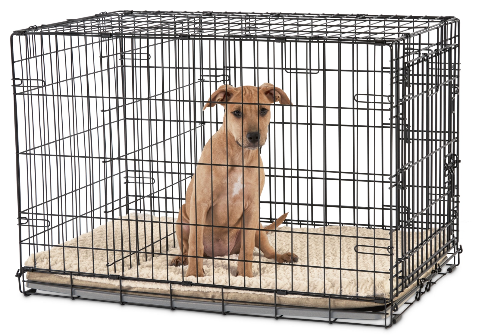 You & Me Wire Dog Crate Medium 4-ft L x 2.5-ft W x 2.67-ft H in the ...