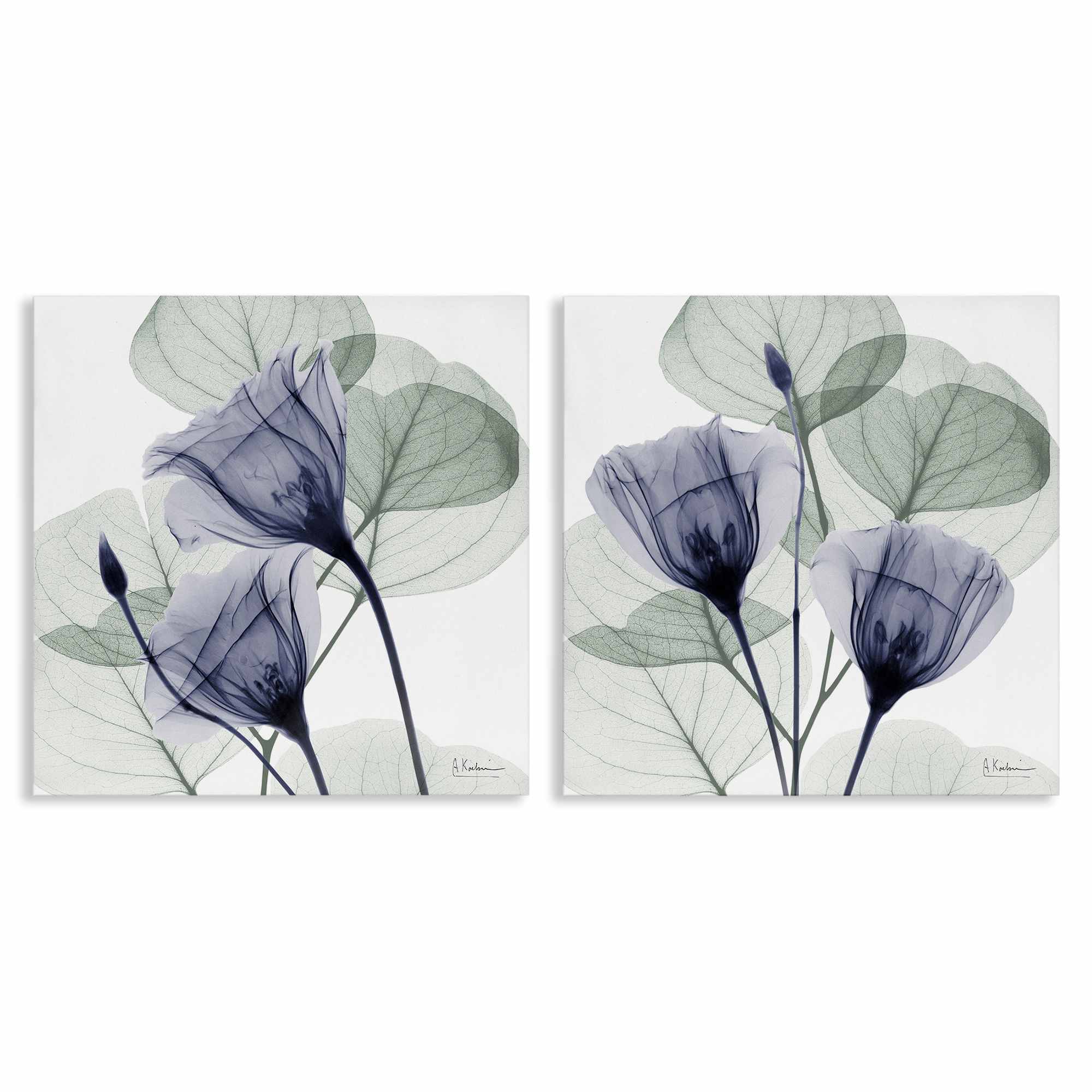Stupell Industries B2-710-CN-2PC-24X24 Fading Florals and Herbs 2 Piece Canvas Wall Art Set By Albert Koetsier 24 x 24