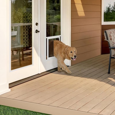 Plexidor Dog Cat Door In The Pet Kennel, Dog Door Sliding Window Insert