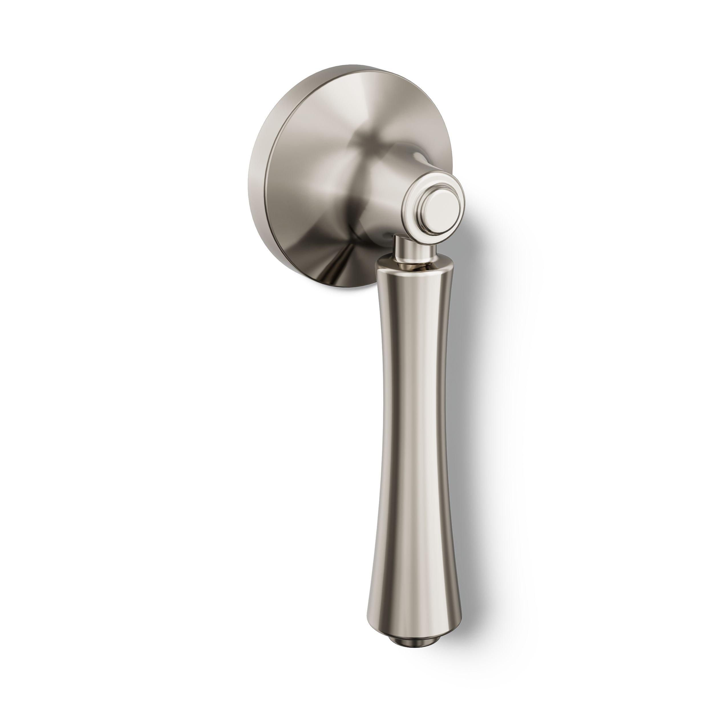 KOHLER Wellworth 3-1/4-in Side Mount Vibrant Titanium Toilet lever