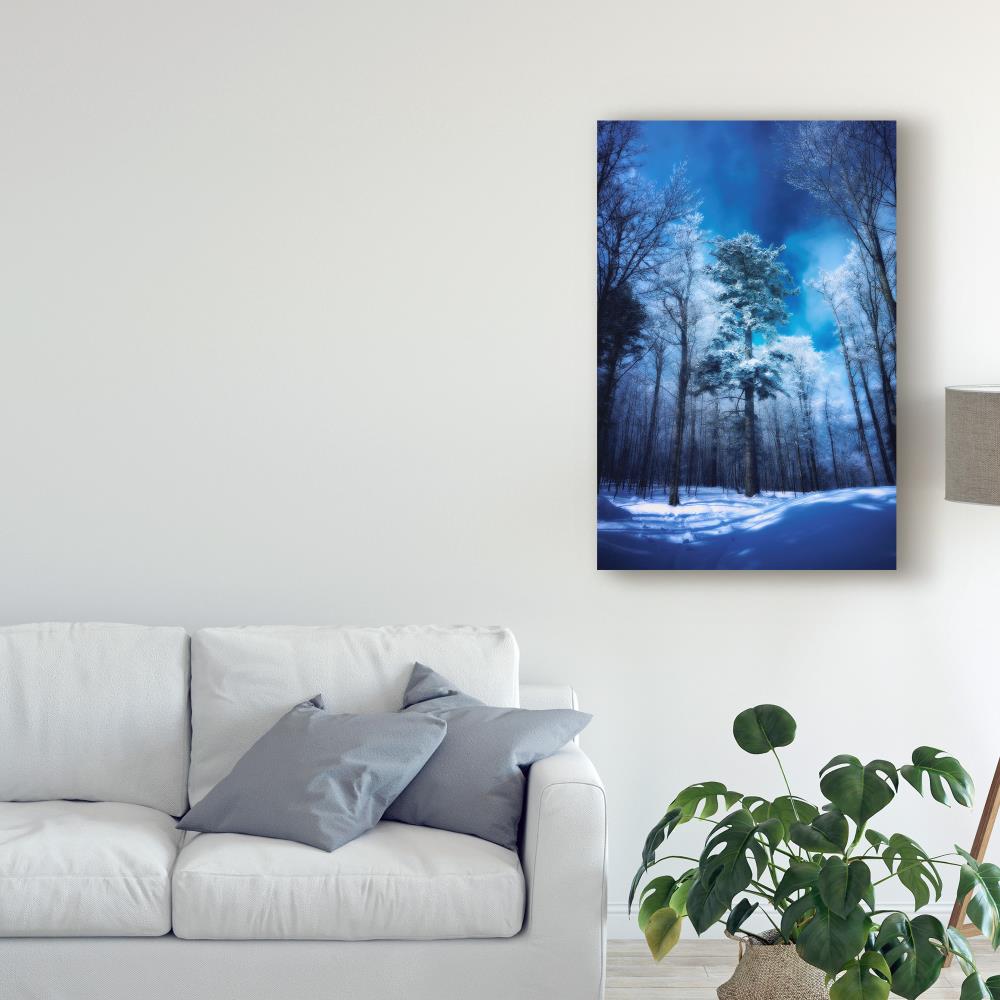 Trademark Fine Art ALI44363-C1624GG Wall-Art - View #3