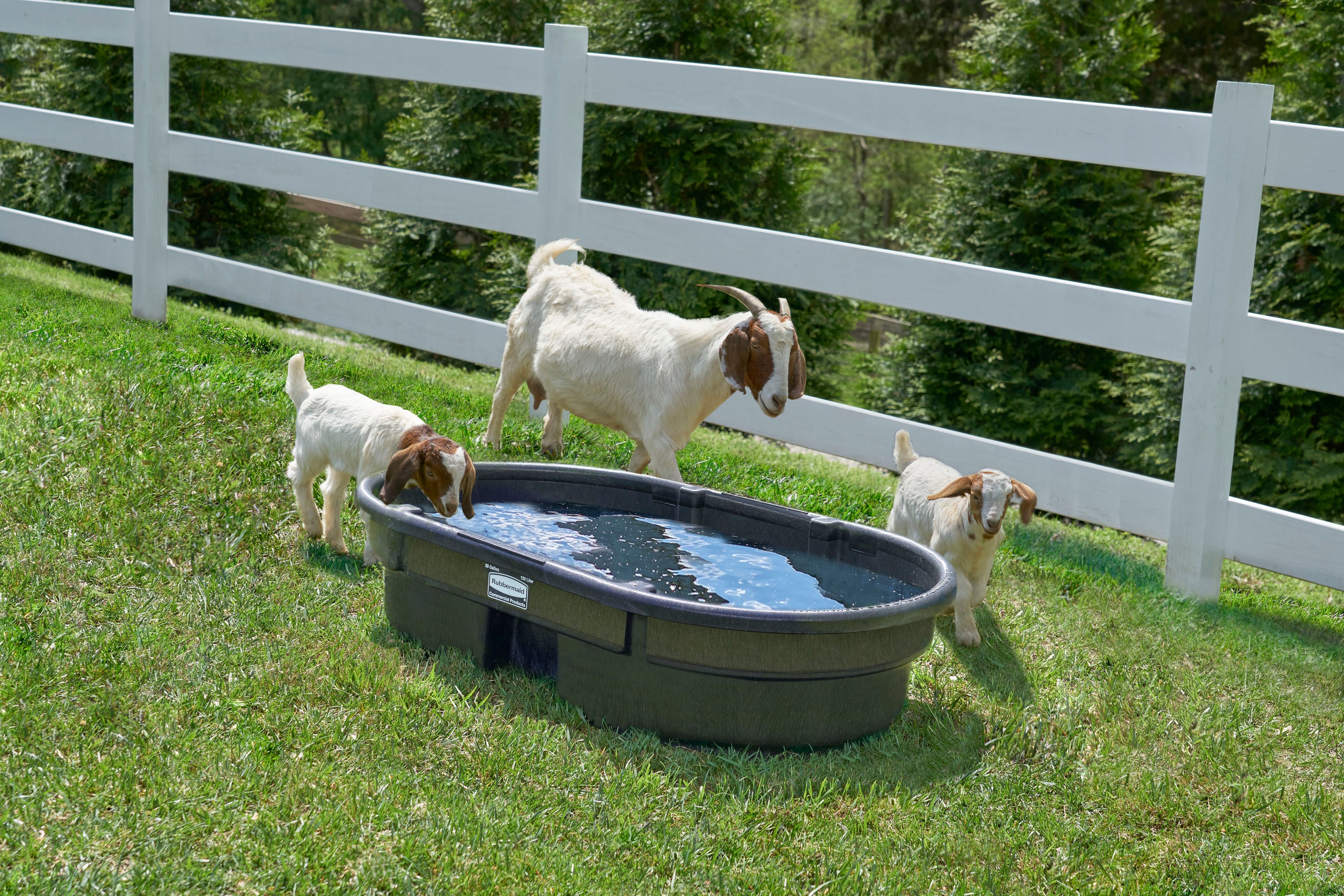 Coastal Farm & Ranch - Hot Deal Alert! Through August 17th, Save $150 on  the 300 Gallon Brute Stock Tank from Rubbermaid. The durable structural  foam resists weathering and cracking, and features
