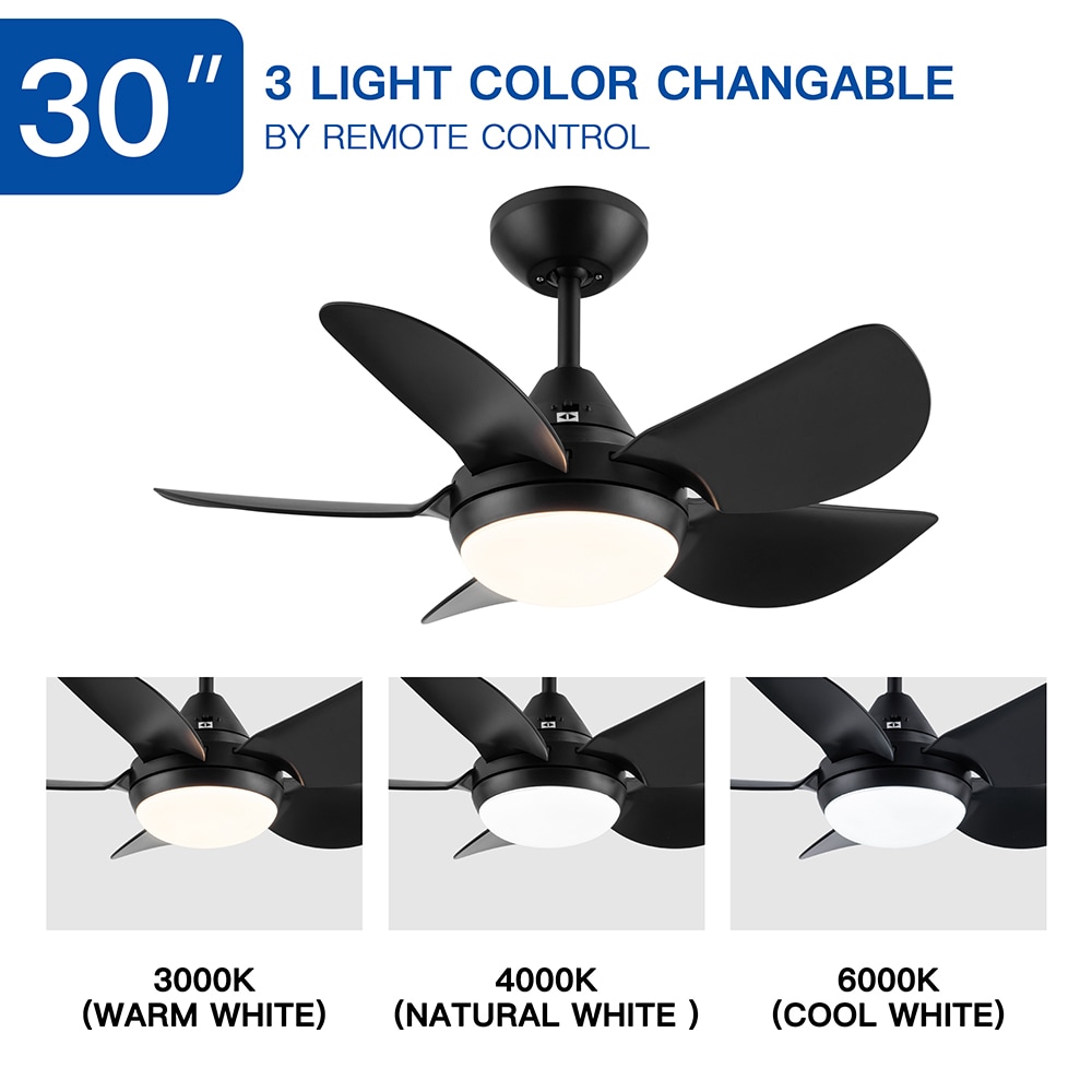 Sunrinx CF-9-DS Ceiling-Fans - View #8