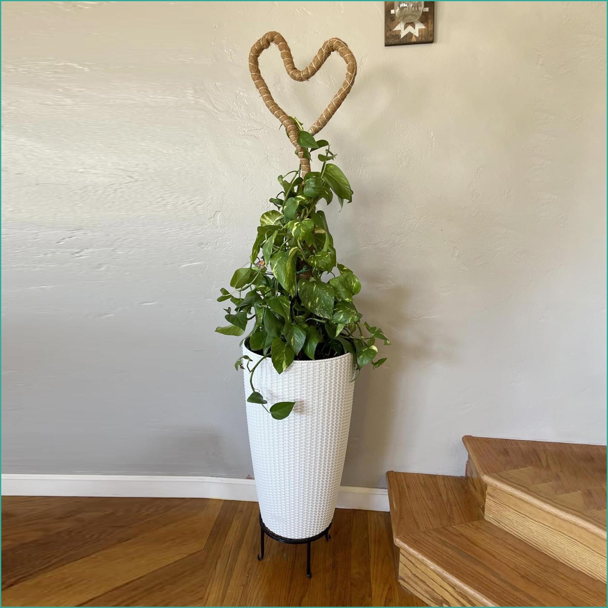 Watnature Q0LZUVXIG75F Planter-Window-Box - View #13