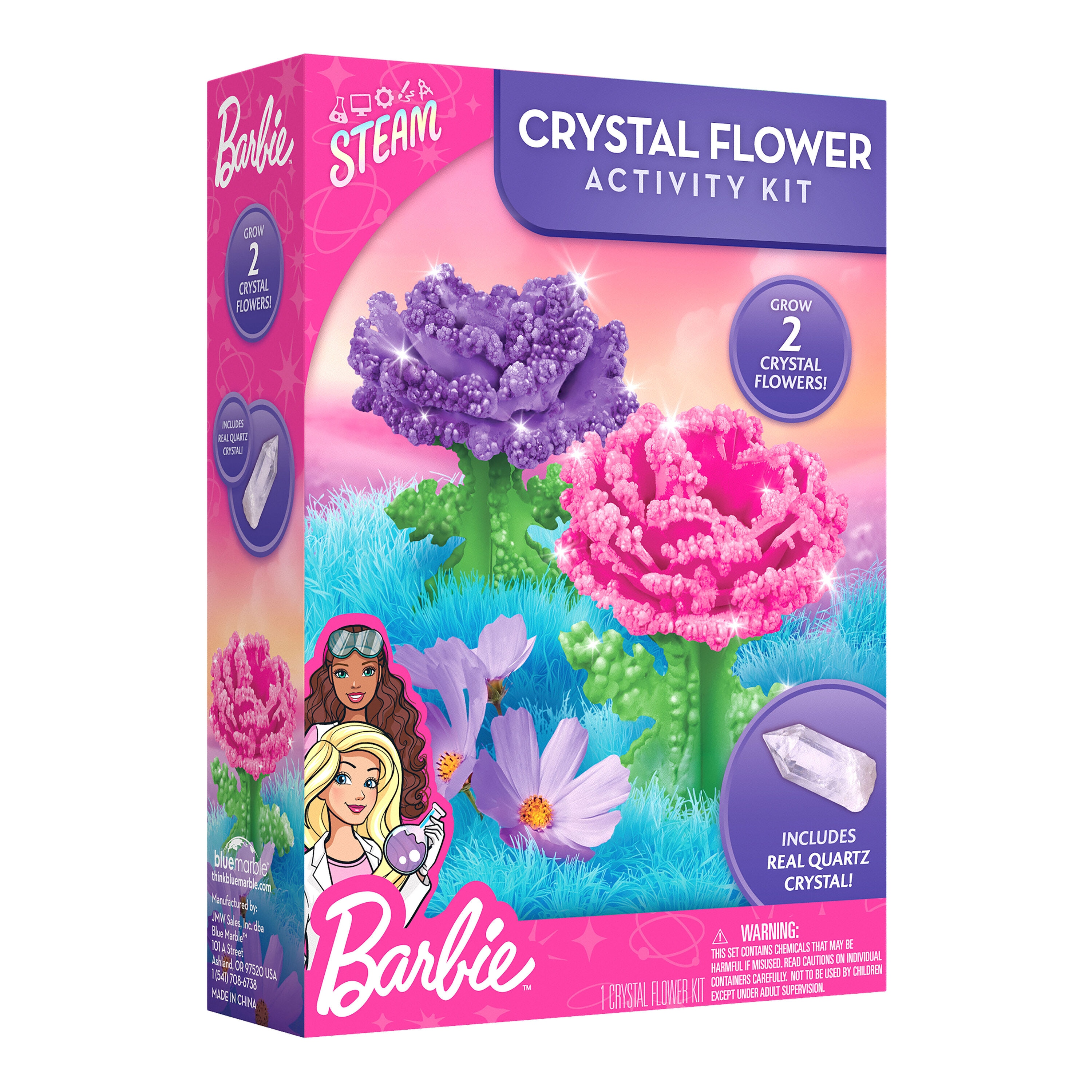 National Geographic - Color and Grow Crystal Rose and Cosmos Flower STEM Toy