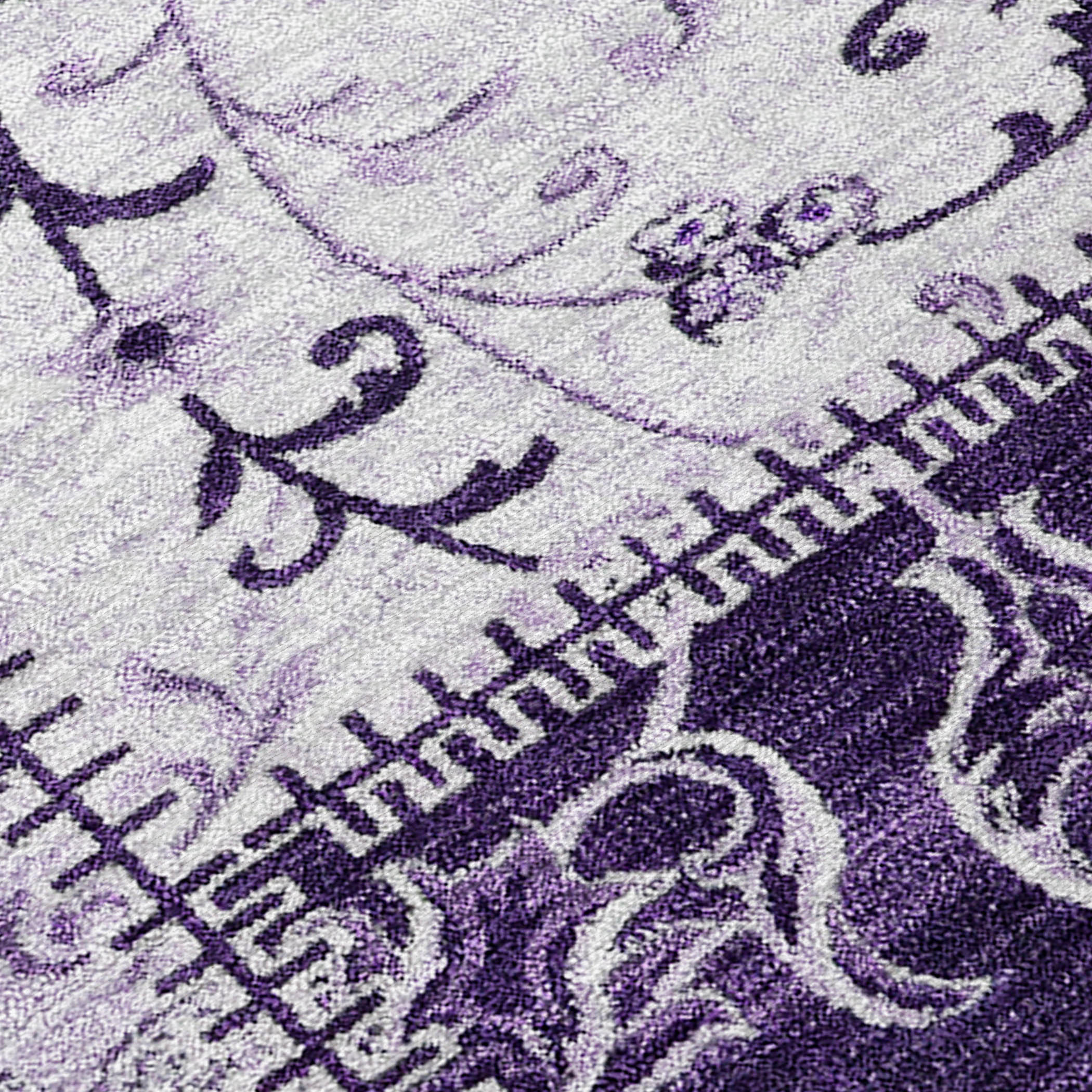 Addison Rugs ACN566PP30X46 rugs - View #2
