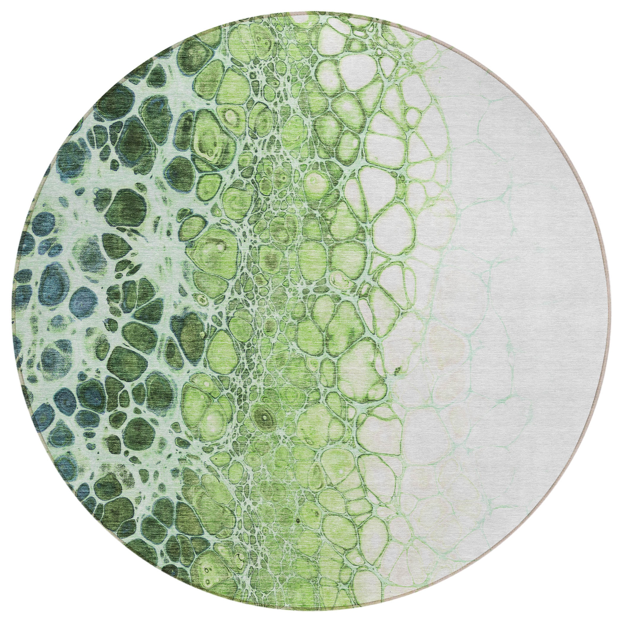Addison Rugs ACN707AL8RO Chantille ACN707AL 8 x 8 (ft) Polyester Aloe Round Indoor/Outdoor Geometric Machine washable Area rug