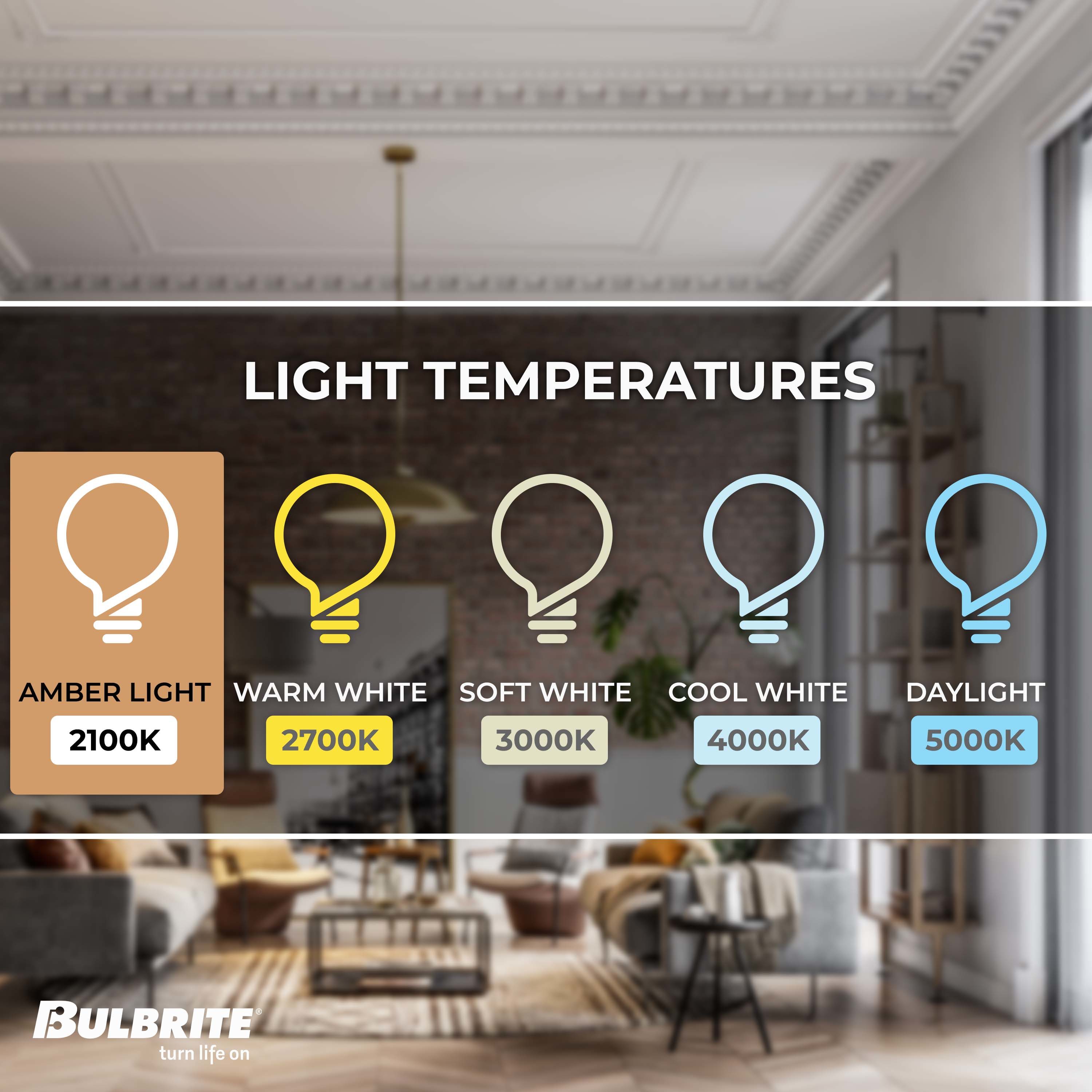 Bulbrite 776305 Dec-Led-Light-Bulbs - View #4