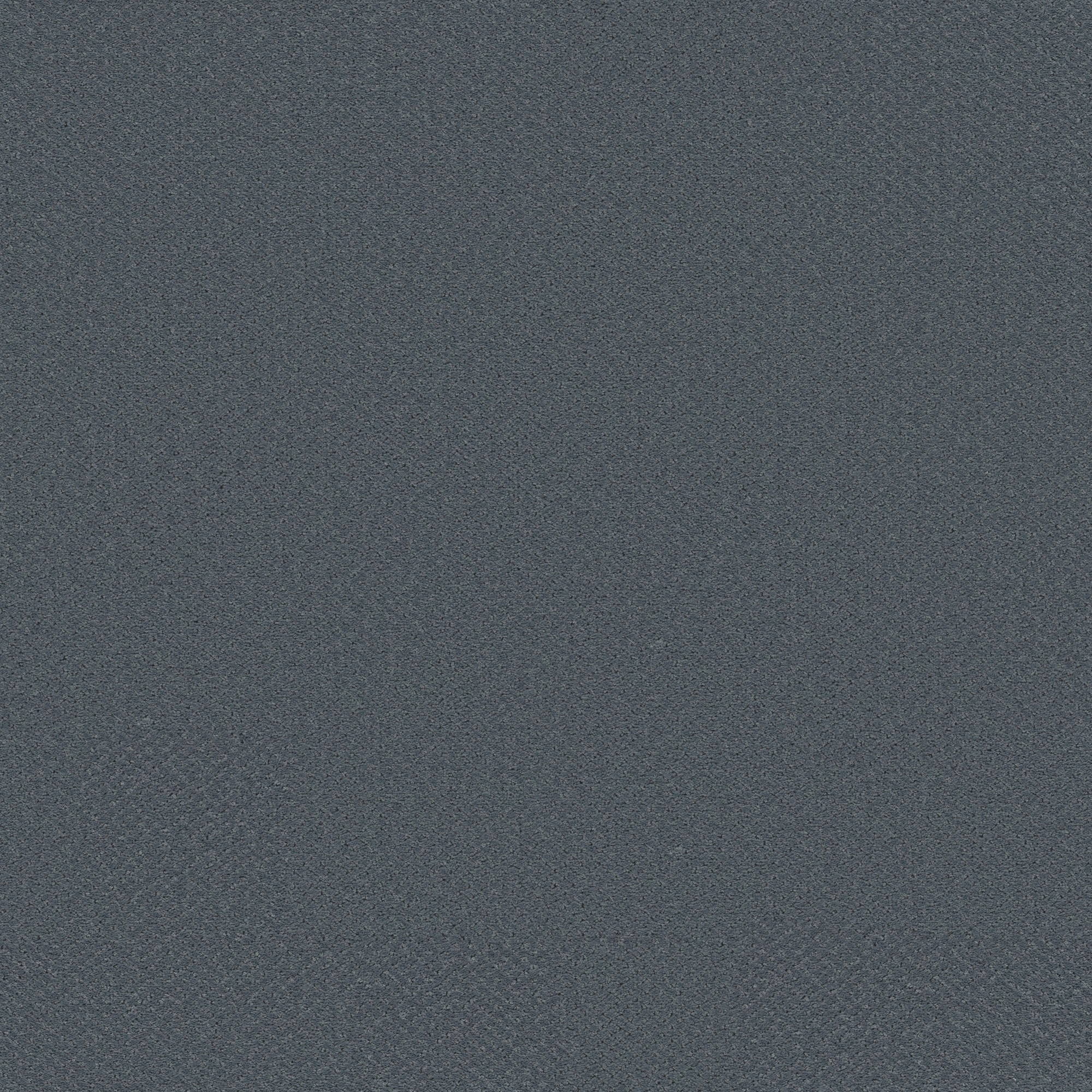 STAINMASTER (Sample) 8-in x 8-in Everlasting Dutch Boy Blue 35-oz sq yard Solution-dyed polyester Pattern Indoor Carpet #7L991-411-SAMP