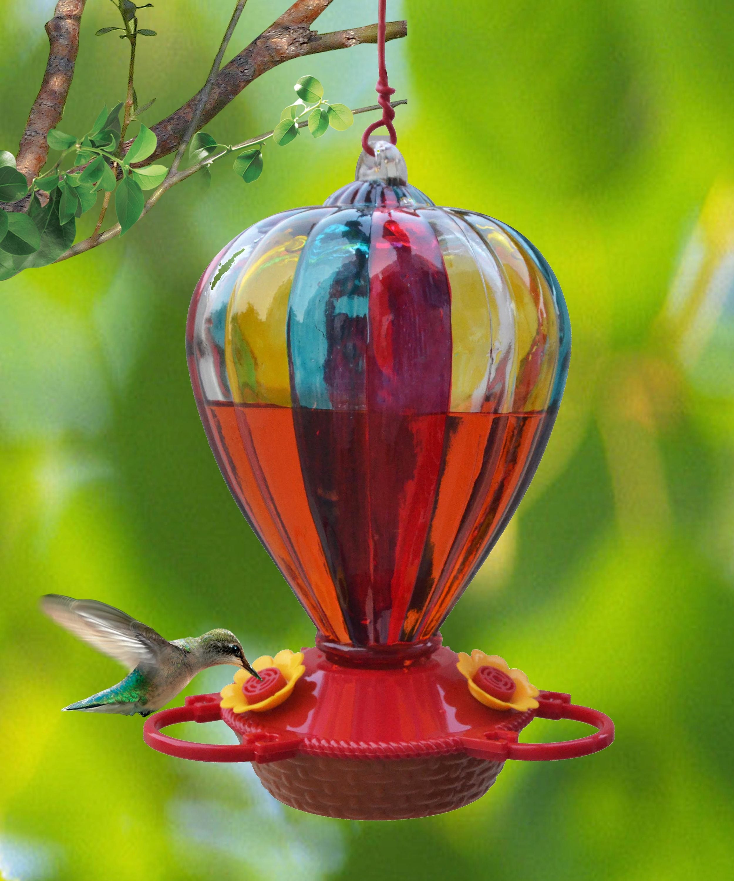 birds cafe glass hummingbird feeder