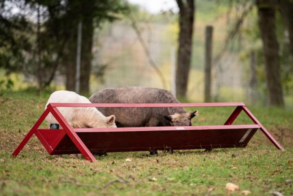 Tarter TF8 Farm-Ranch-Feeders - View #2