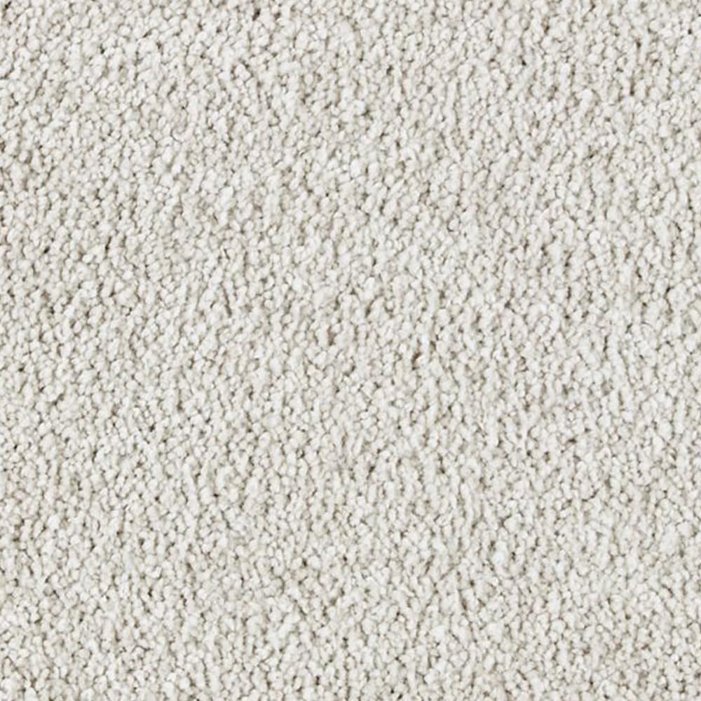 STAINMASTER PetProtect Alluring splendor I Greige Textured Indoor Carpet in  the Carpet department at