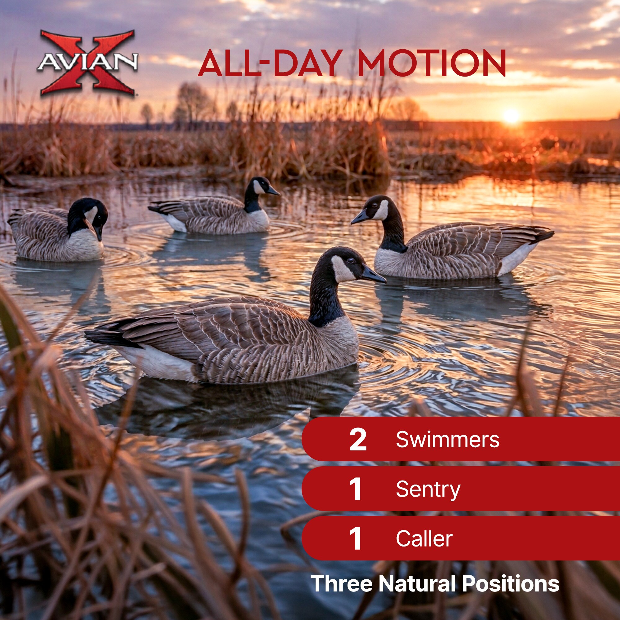 Avian X 399284 Hunting-Equipment - View #3