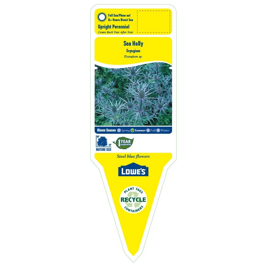 Lowe's 442556 perennials - View #2