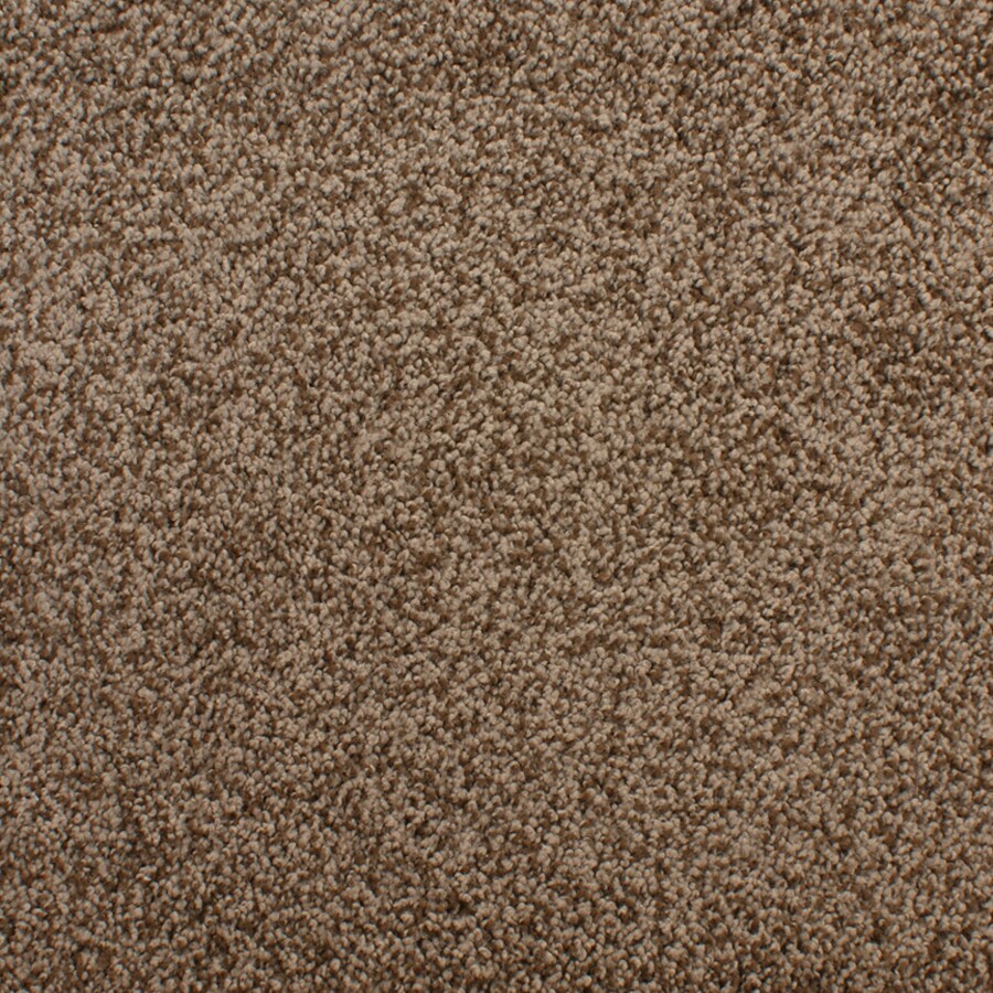 STAINMASTER 4431-115 Active Family Huntington Heights Brown/Tan Textured Indoor Carpet