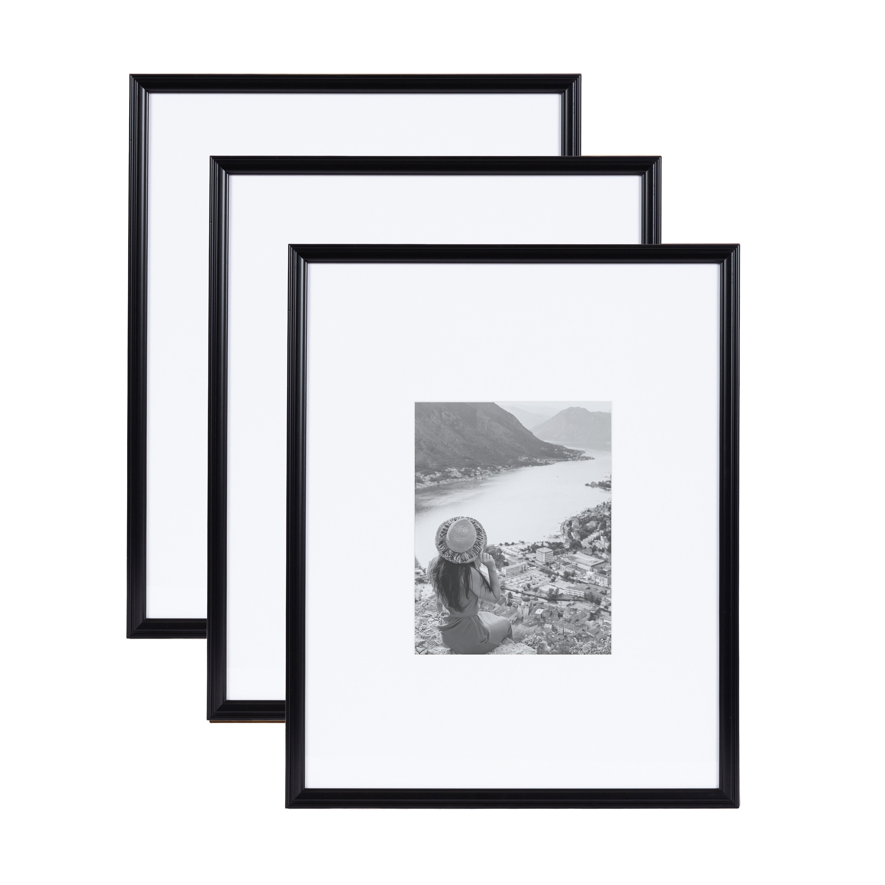 Picture Frames Common Picture Frame Size 16-in x 20-in