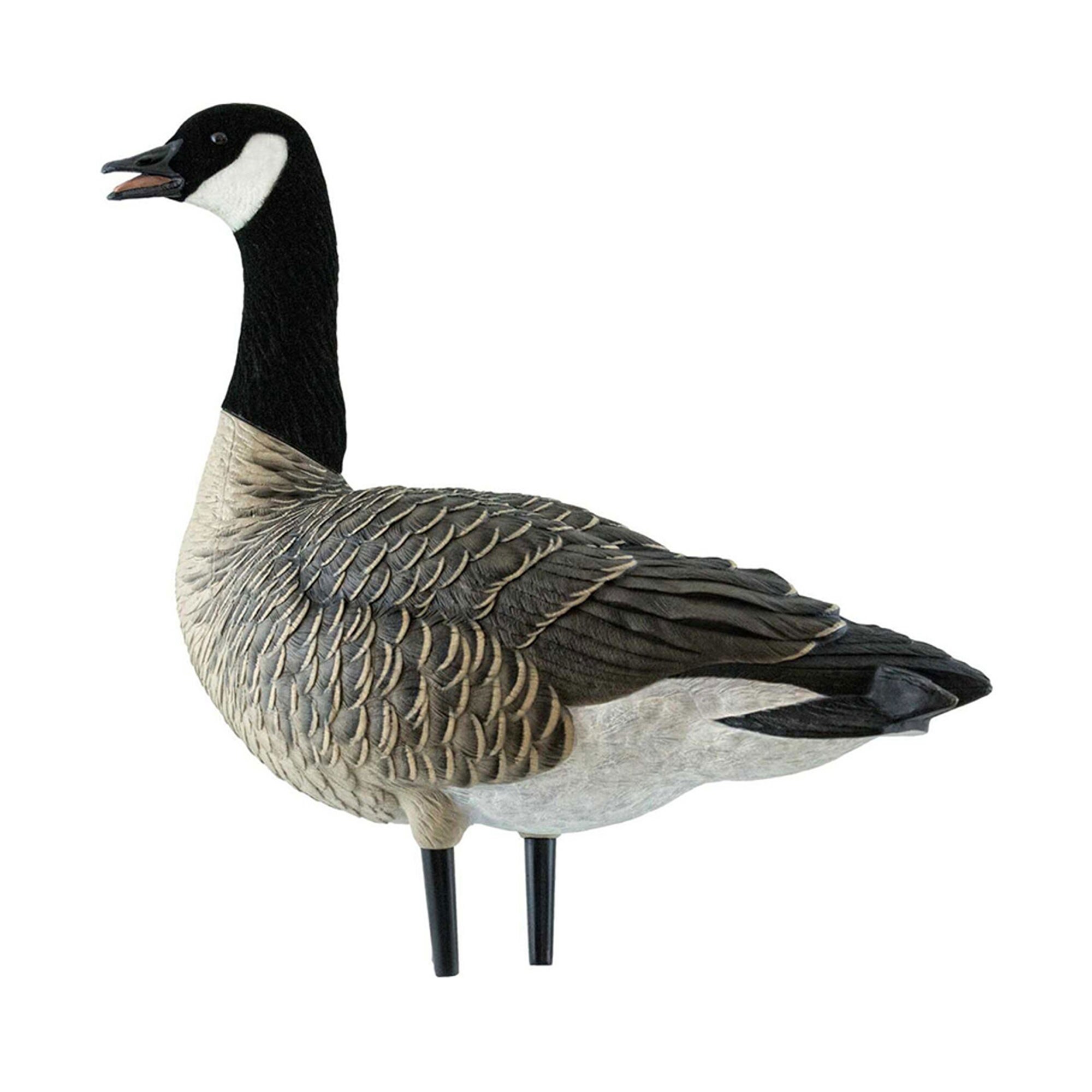  Avian X 399283 Hunting-Equipment - View #8