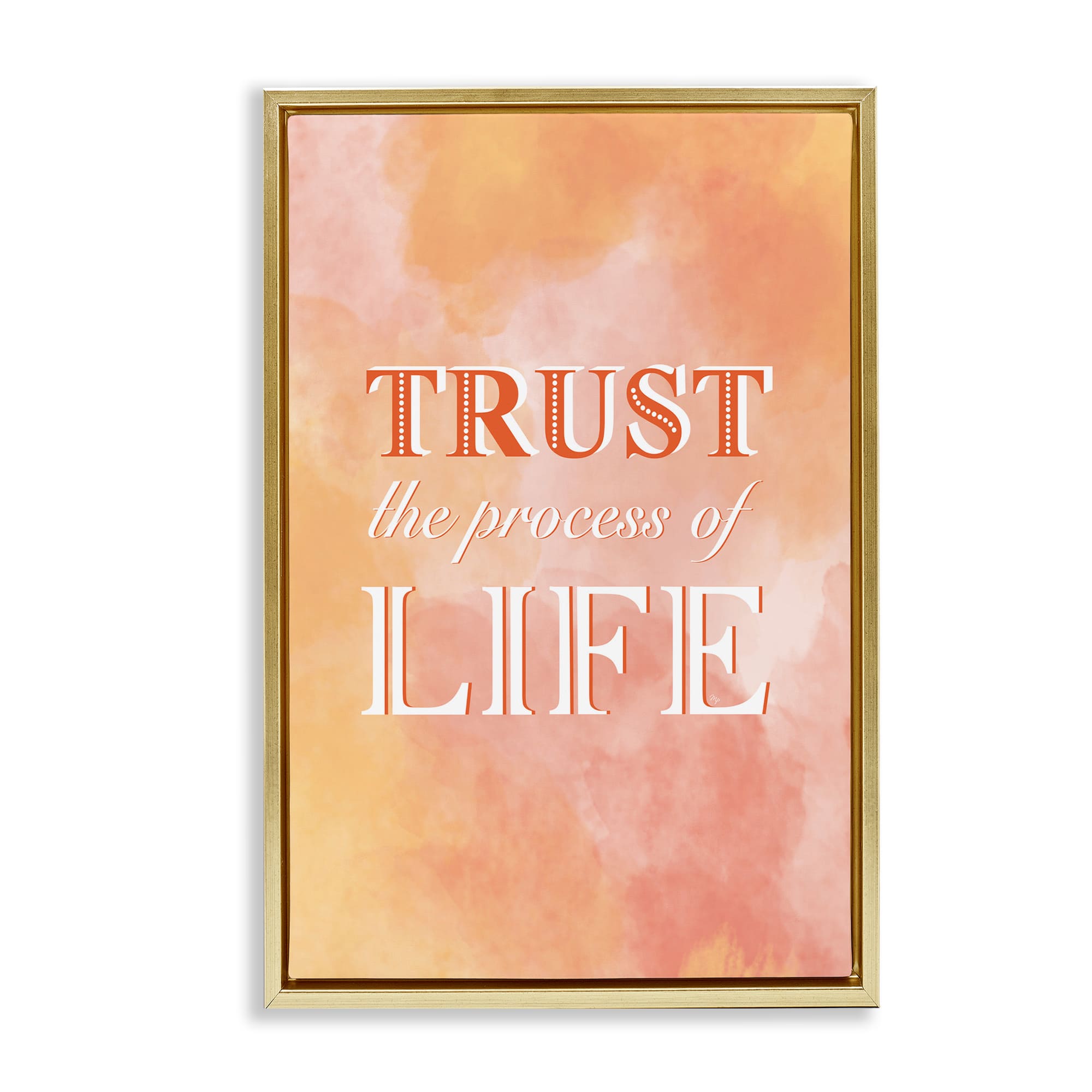 Stupell Industries BS-641-FFG-20X30 Trust The Process Of Life Floating Frame design by Martina Pavlova
