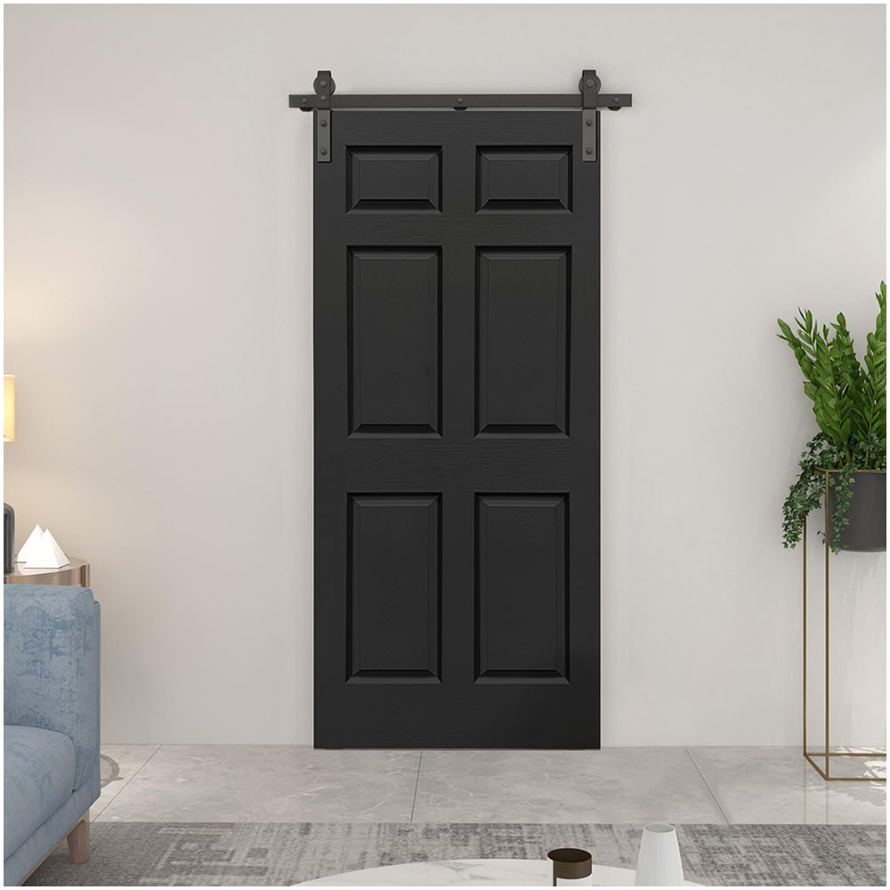 CALHOME 1100-2-S+6P-30D Barn-Doors - View #2