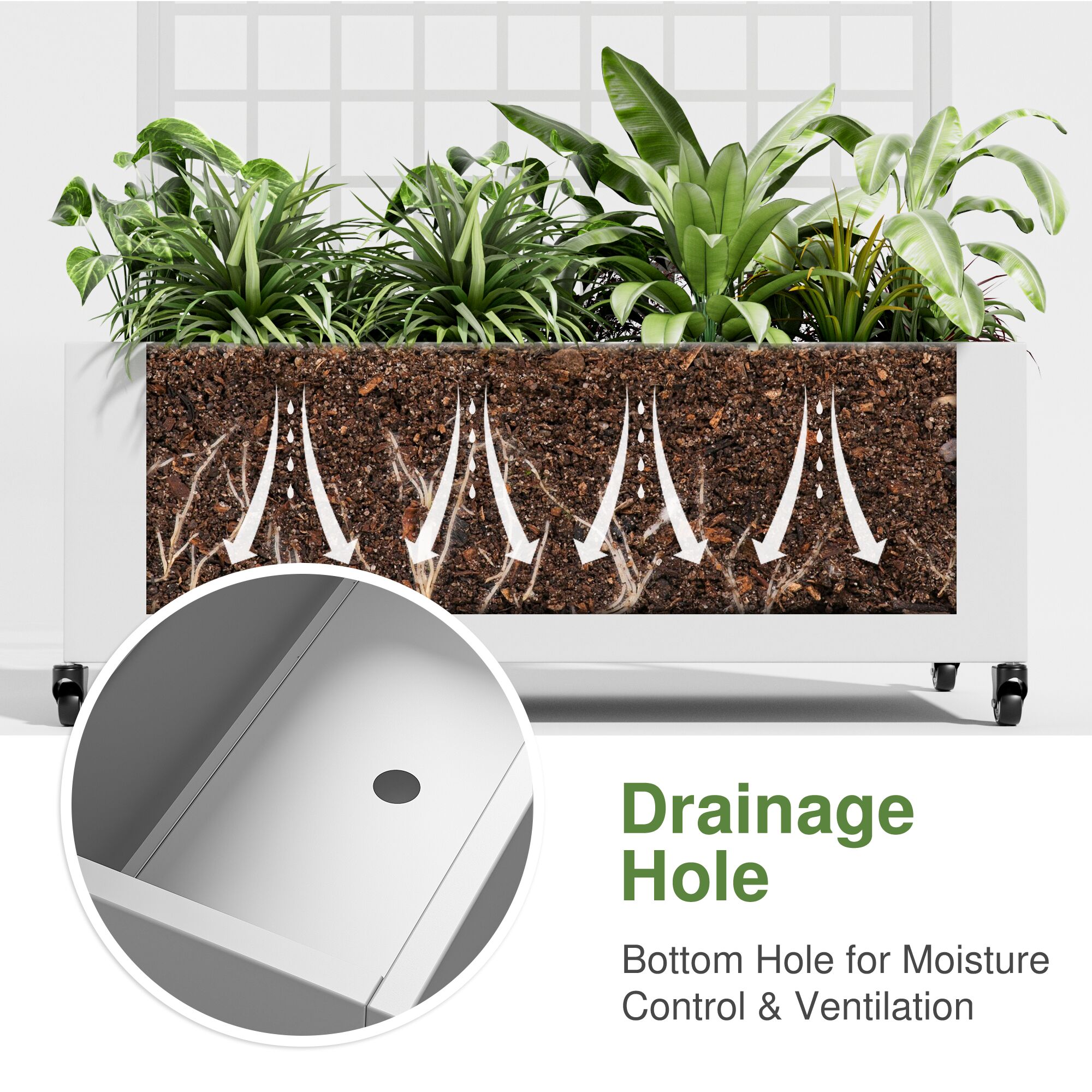 Dovelina LS0103-325110 Raised-Planter-Boxes - View #4