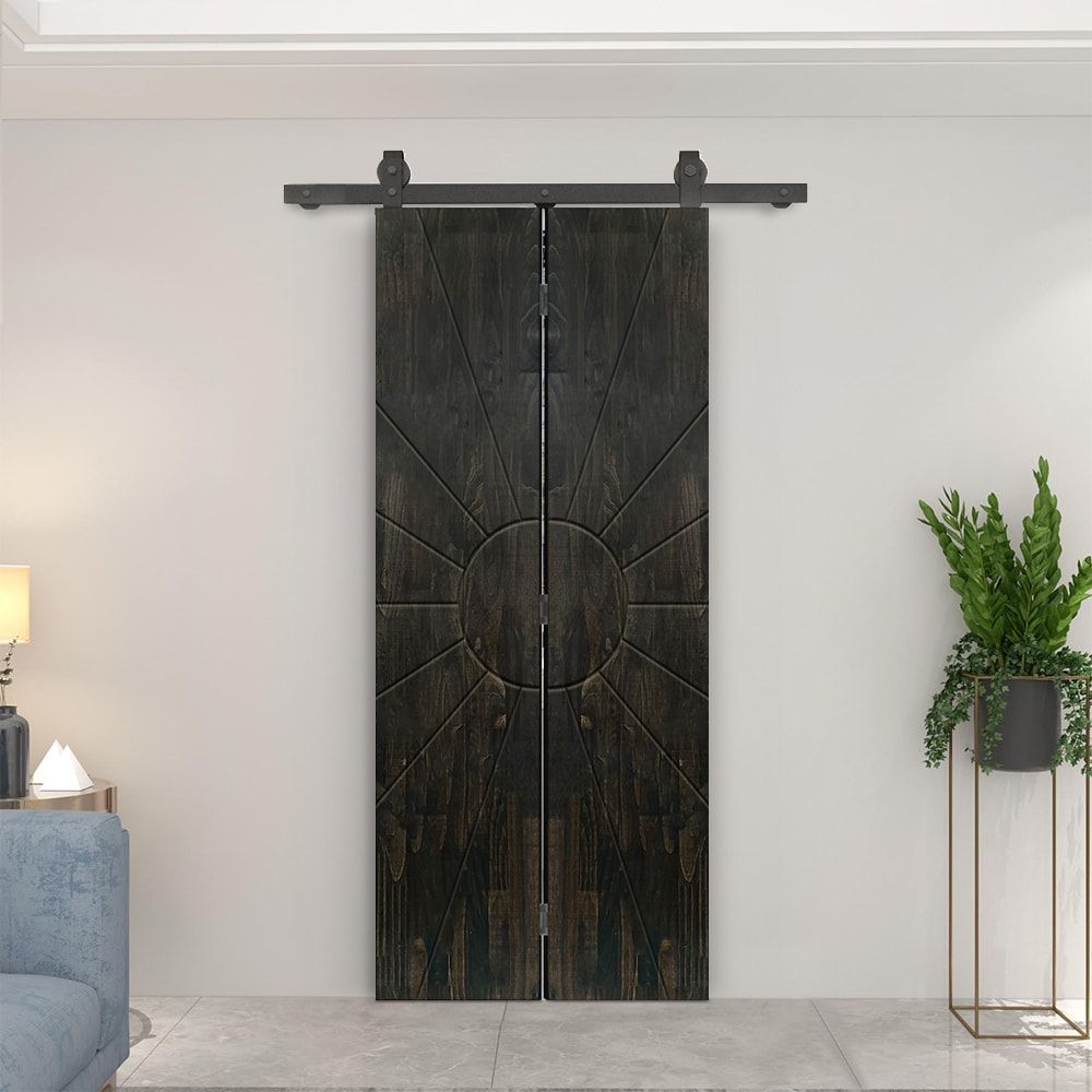 CALHOME 1100T+FSUN-80X26DT Barn-Doors - View #2