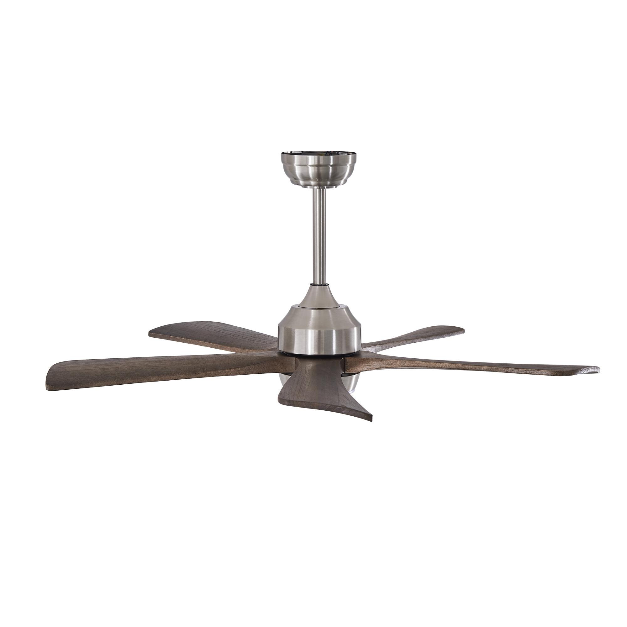 Bayfeve BF-460832-MP Ceiling-Fans - View #16