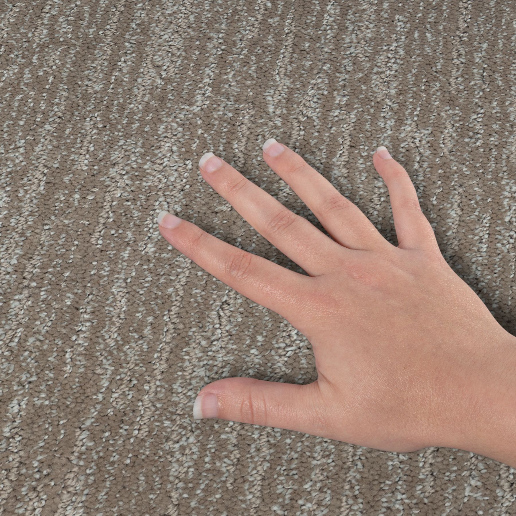 STAINMASTER PetProtect SS056-L005-S0808 Carpet-Samples - View #4