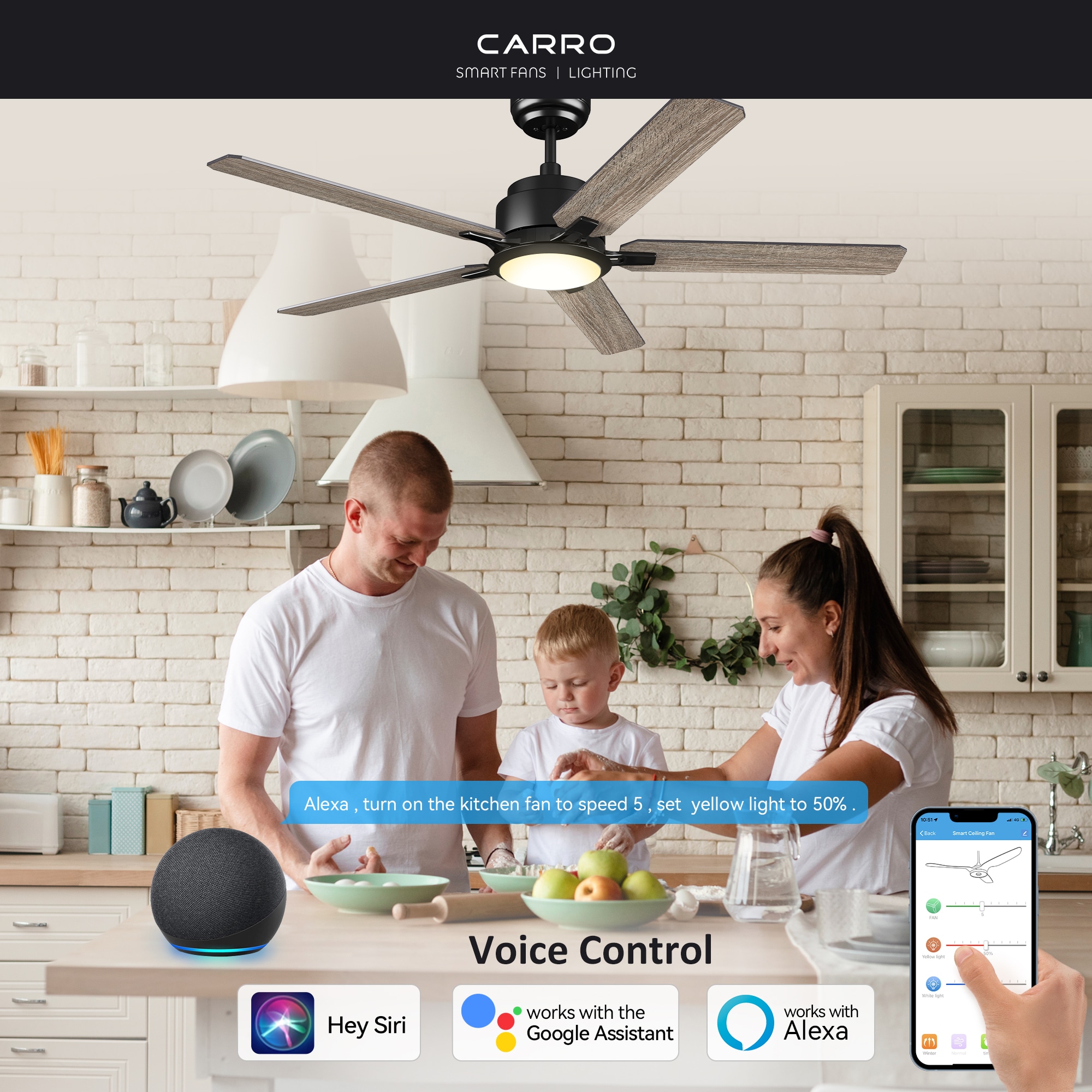 CARRO USA Essex 52-in Black with Gray Oak Blades Indoor/Outdoor Flush Mount Smart Ceiling Fan with Light and Remote (5-Blade) LS525J-L12-BO-1-FM Sansujyuku sansujyuku.com