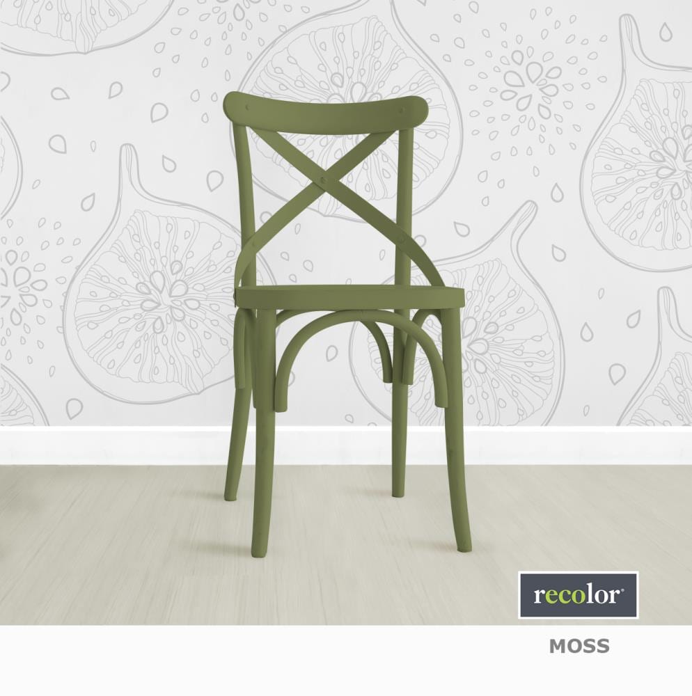 Recolor Paints RECMOSSCH10 Chalky-Paint - View #3