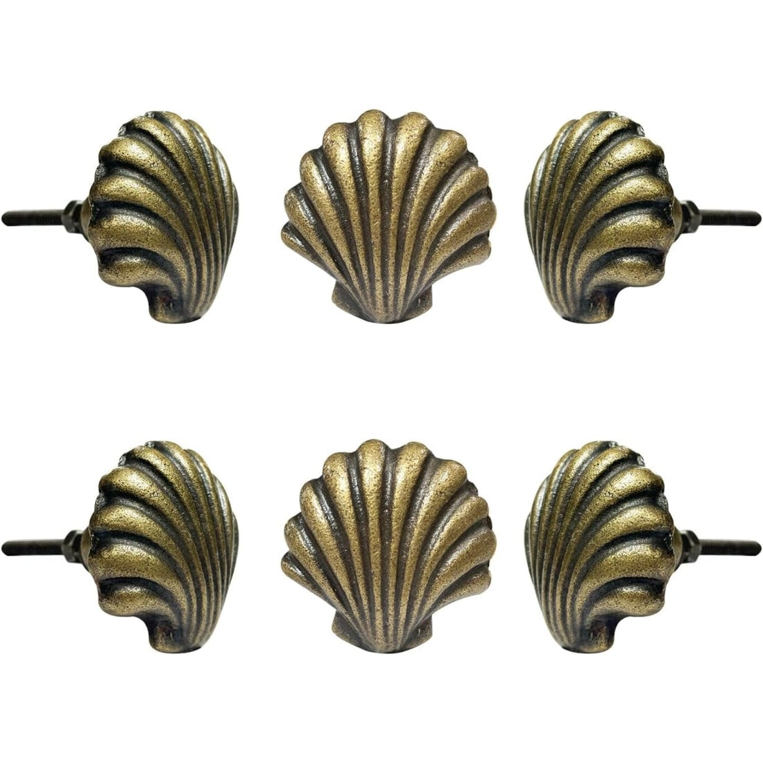 Perilla Home Beach Shell Brass Cabinet Knobs (Set of 6)