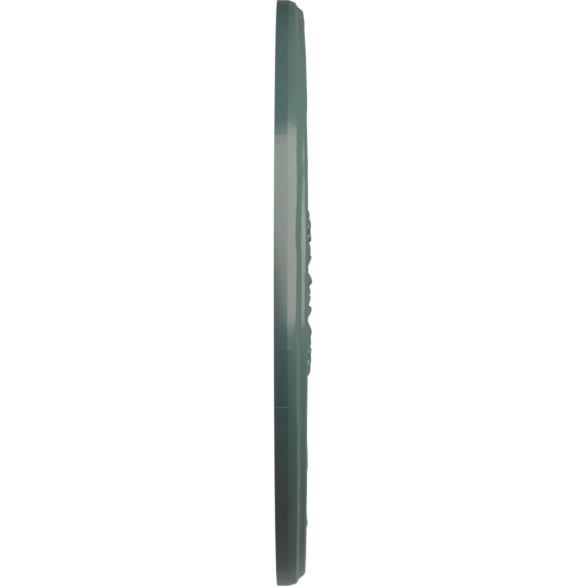 Ekena Millwork CM47MICBF Ceiling-Medallions - View #3