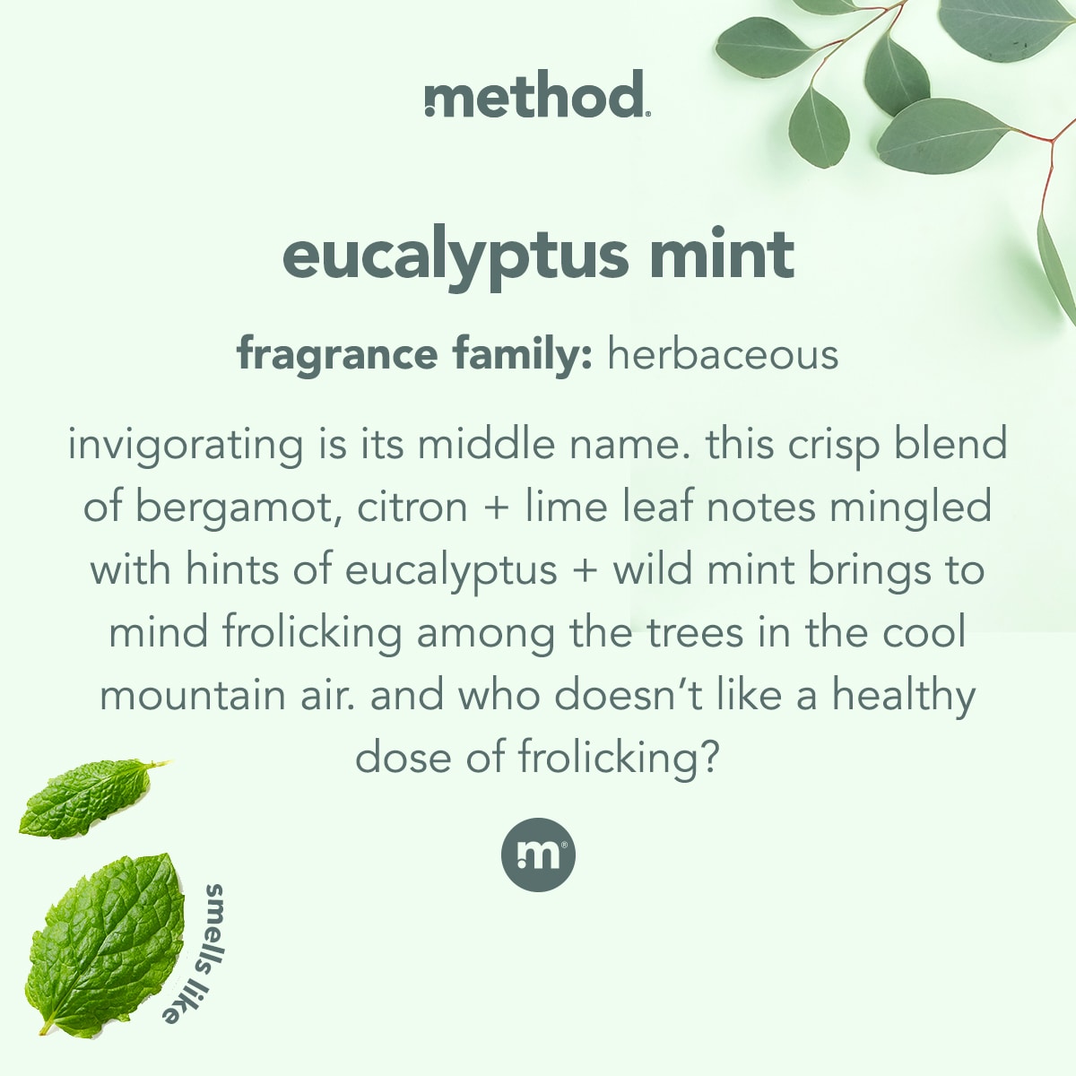 bathroom cleaner - eucalyptus mint, 28 fl oz