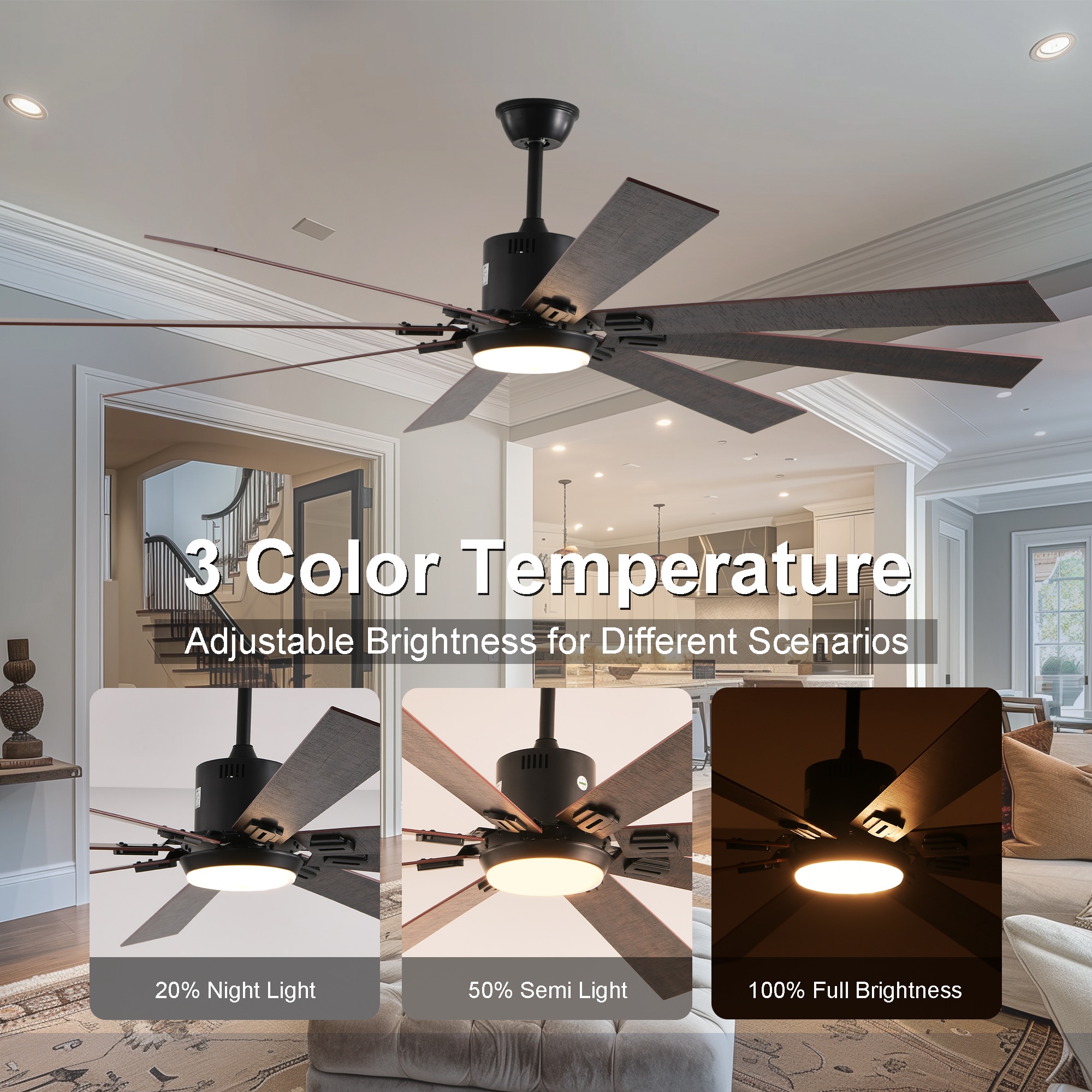 Sunrinx MG9-CF-19 Ceiling-Fans - View #5