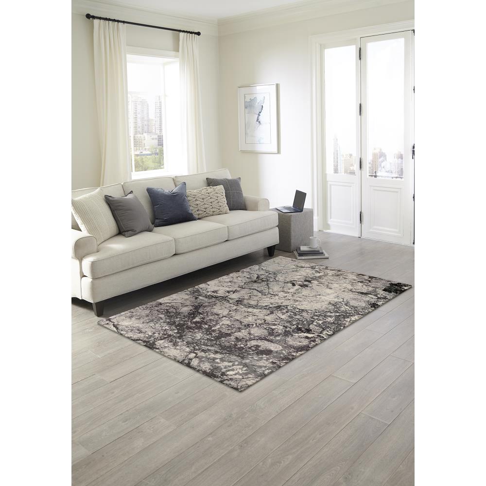 Liora Manne TSA91858347 rugs - View #7