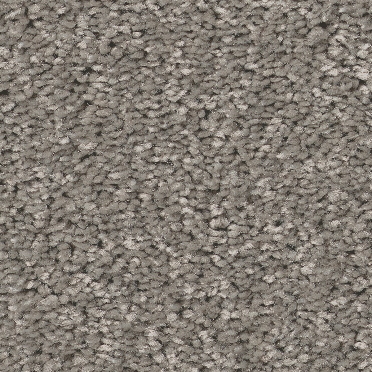 Style Selections 7L84700501 Dialed In II Ink Spot Gray 35-oz sq yard Polyester Textured Indoor Carpet
