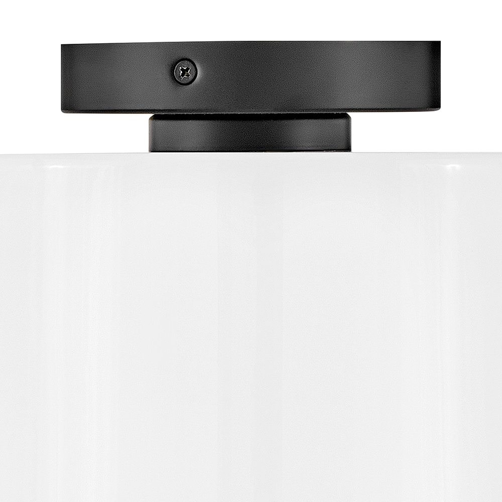 Lark 83533BK flushmounts - View #5