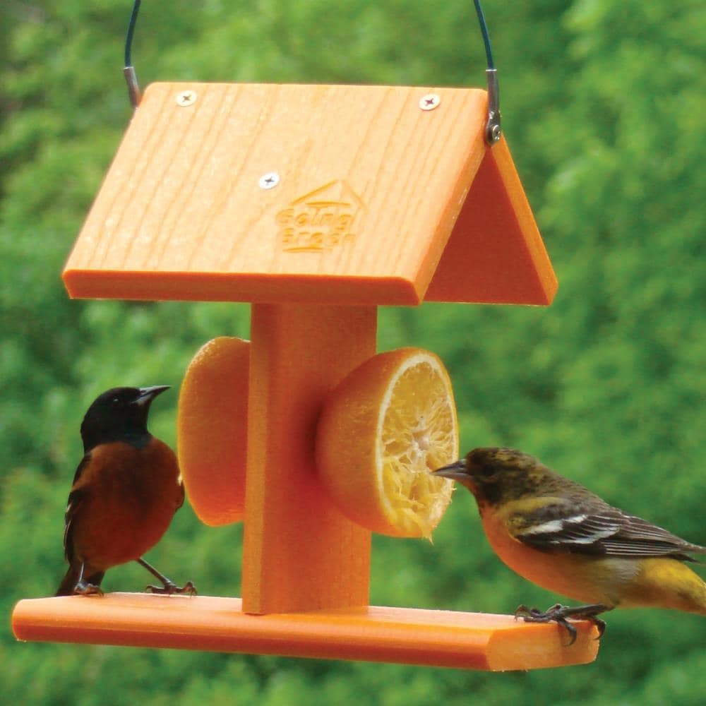 Woodlink 25007 Bird-Feeders - View #2