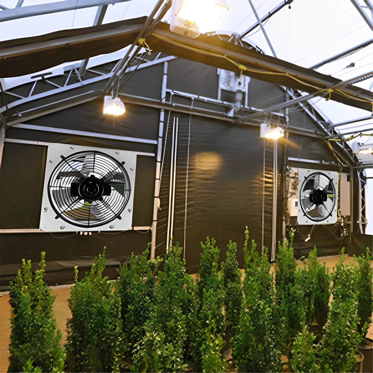 EXTRAUP YHLW113442855 Wall-Mounted-Fans - View #2