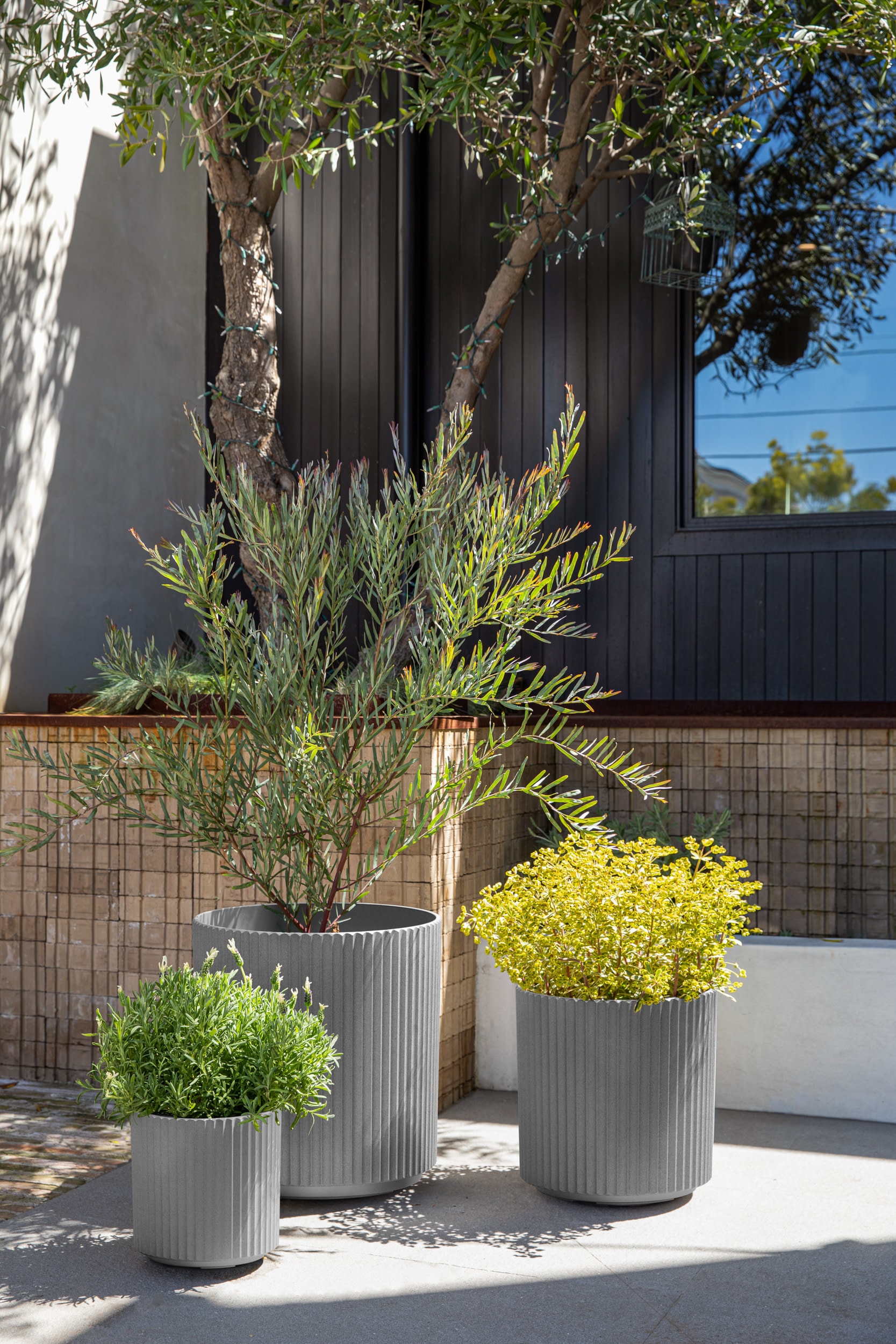 Veradek DMV-BUN-C Planter-Window-Box - View #5