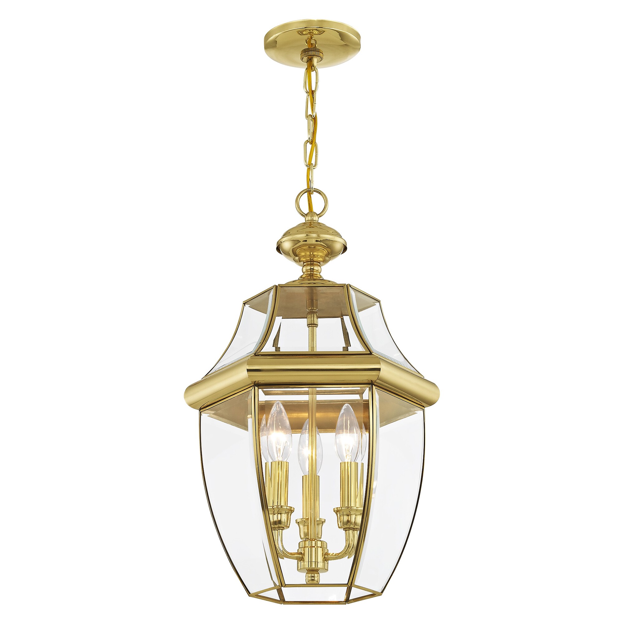 Monterey 21" Polished Brass and Clear Glass Outdoor Pendant Light